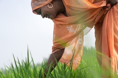 171_WWF_India-Tara.jpeg