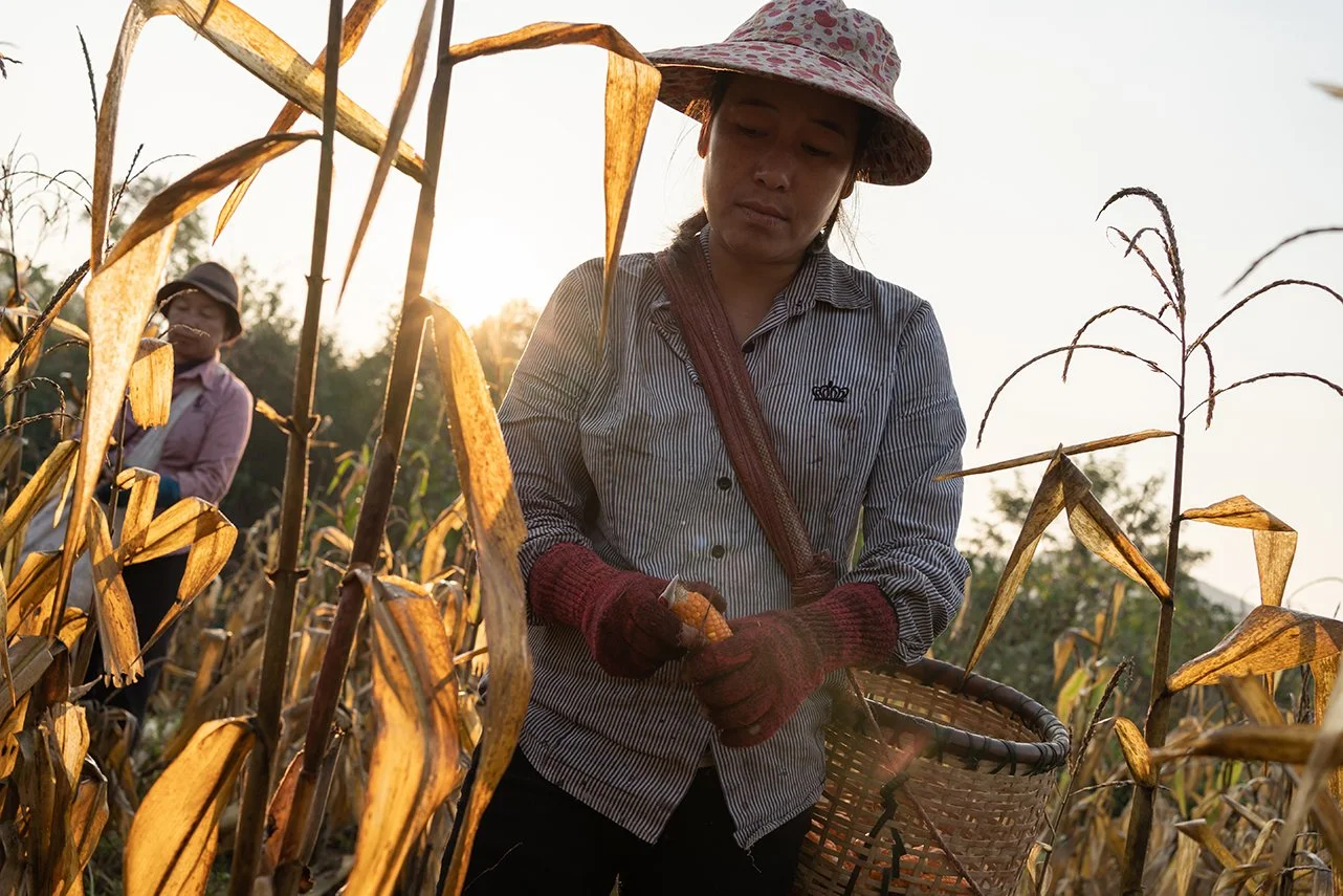 UN Women_Laos_COVID-158.jpg