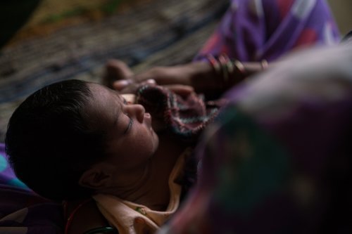 116_WWF_India-Tara.jpeg