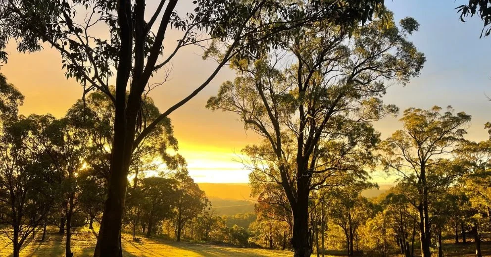 Why Holistic Activities Like Art, Nature Walks, and Mindfulness Strengthen the Recovery Journey