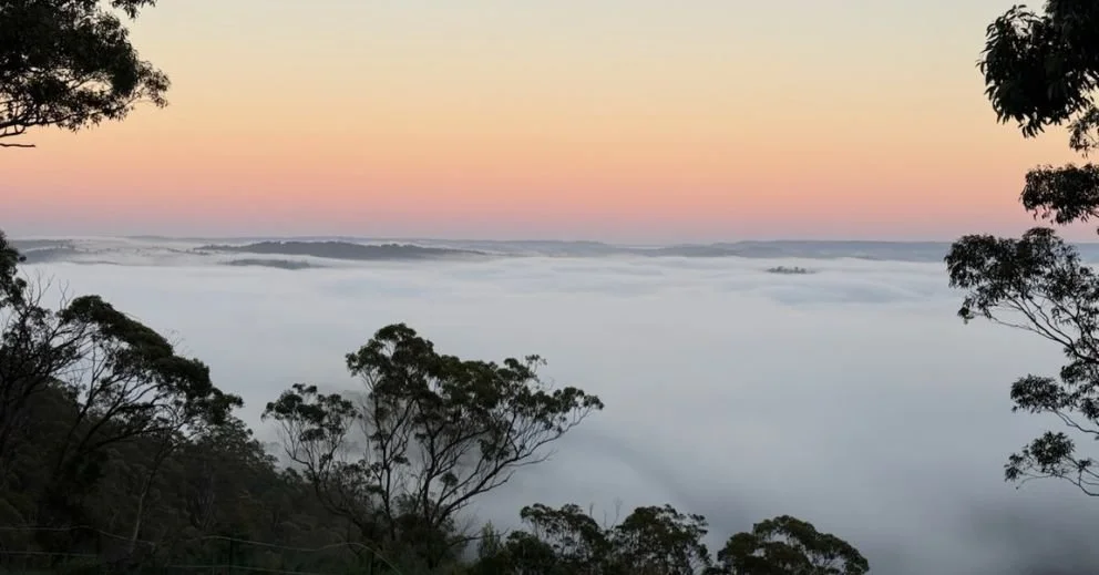 Addiction Retreats in Southern Highlands: Why Nature-Based Recovery Works