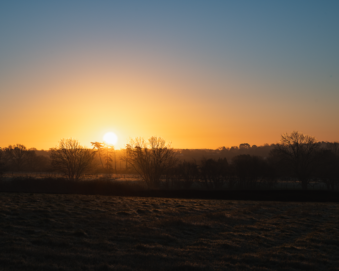 Sunrise through trees