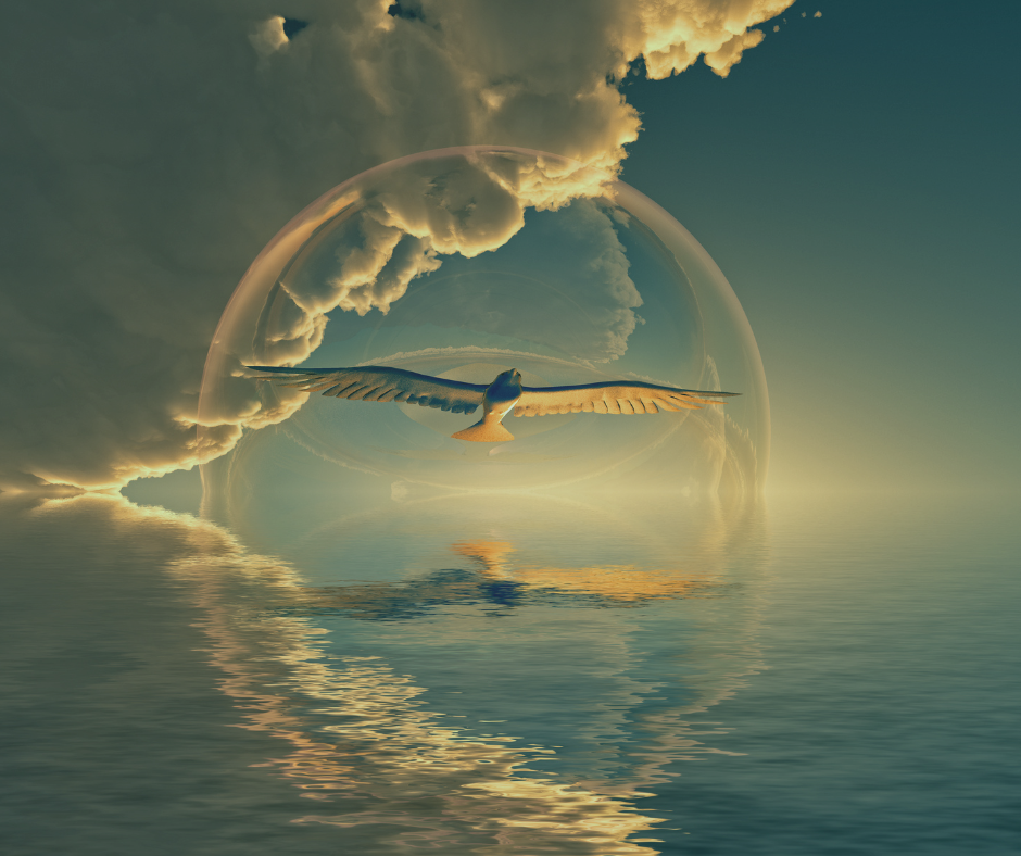 Een vogel met grote vleugels die zijn vleugels uitslaat, in een bubbel van licht met wolken erboven, vliegend boven het water waarin een reflectie van de wolken en de vogel te zien is.