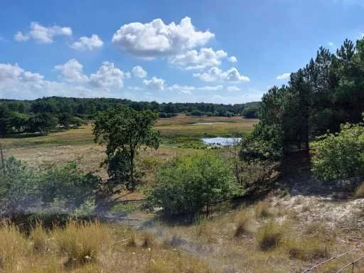 Wanneer is een healing helpend – en wanneer juist niet