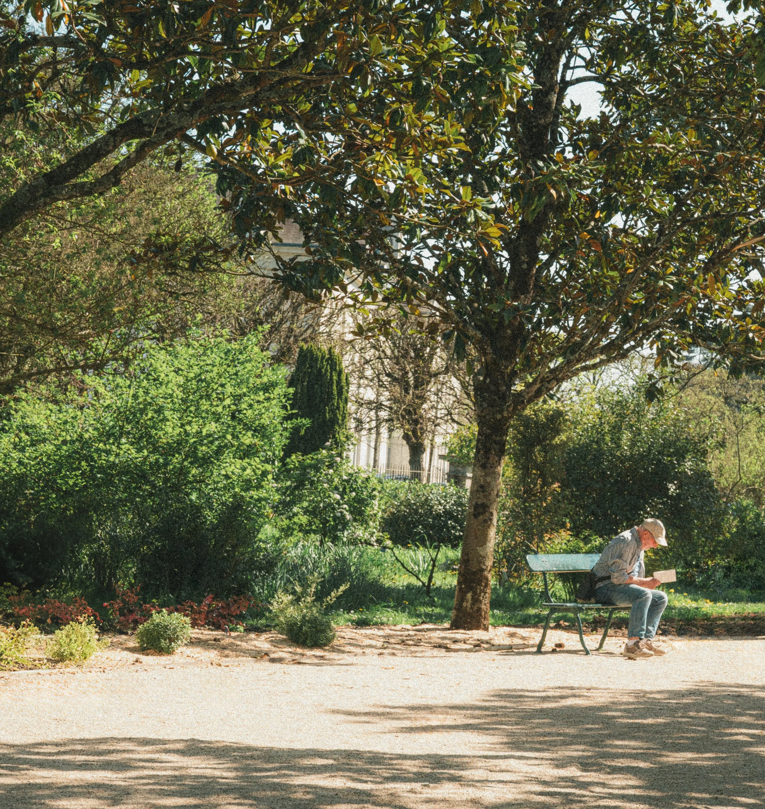 Une personne âgée assise sur un banc dans un parc, lisant un livre. Le parc est verdoyant avec un grand arbre ombrageant l'endroit, entouré de buissons et de plantes. Le soleil brille, créant des ombres sur le sol.