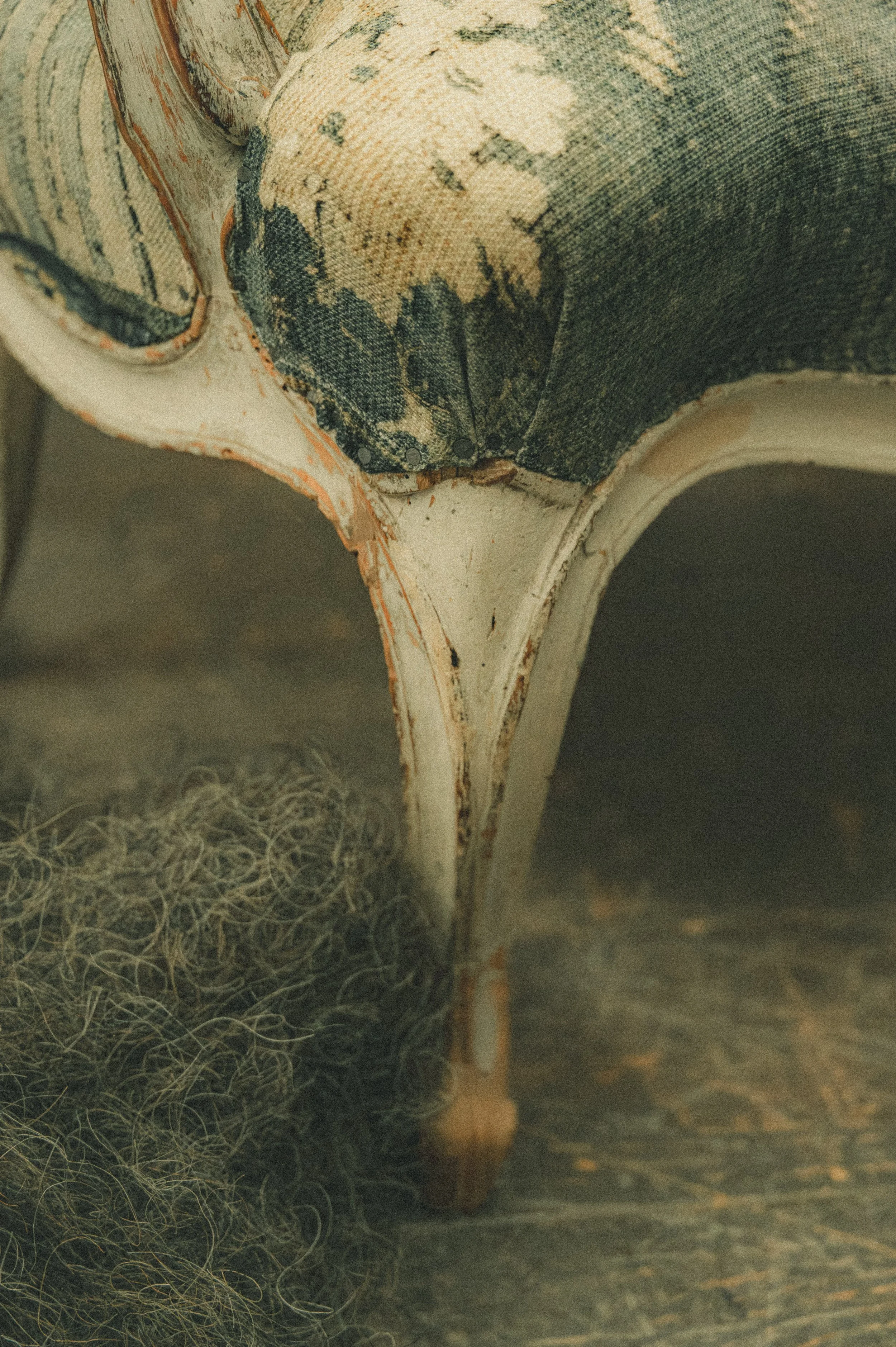 DSC_3306-Avec accentuation-Bruit.jpg