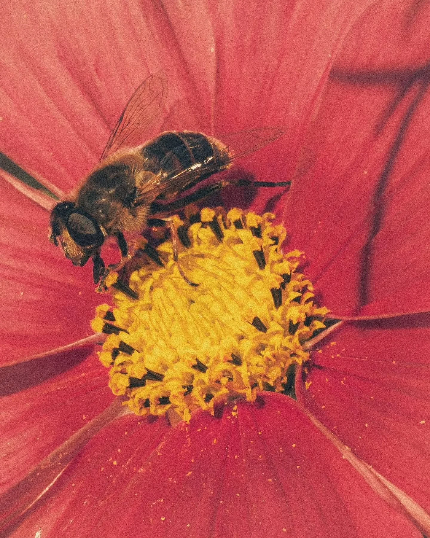 Photographie de vie.
J&rsquo;aime apporter un regard sur le vivant &mdash; pour des histoires humaines autant que sauvages.
Ramener des fragments de ce qui nous entoure, figer le temps sur les derni&egrave;res couleurs d&rsquo;automne.
&Ecirc;tre l&a