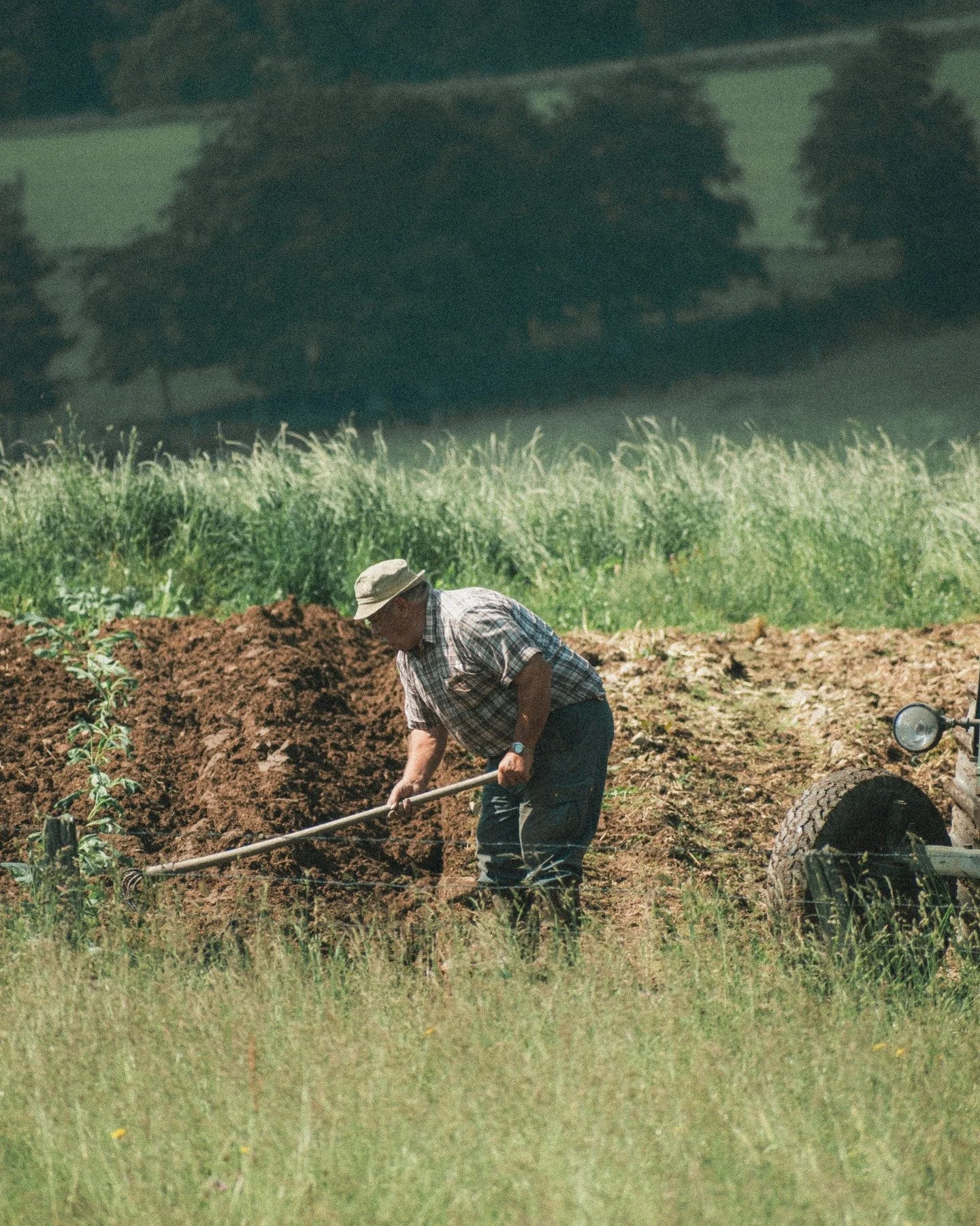 VRAIES RICHESSES 
La vie aux champs, ce sont avant tout des visages. Des visages de paysages, aux yeux cr&eacute;pusculaires, aux peaux marbr&eacute;es, aux mains de feu.
Ce sont des corps feutr&eacute;s, courb&eacute;s, parfois caboss&eacute;s, qui 