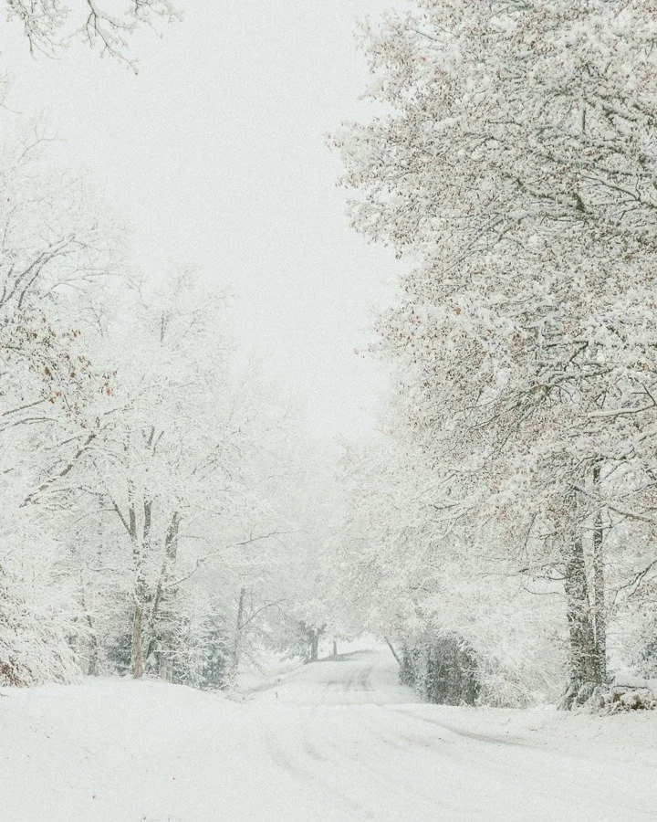 S&rsquo;aventurer.
Explorer encore et toujours plus loin.
Vers les hauteurs de mes r&ecirc;ves, vers les vall&eacute;es de mes sentiments. Me laisser porter par l&rsquo;envie d&rsquo;&ecirc;tre. Ce sentiment d&rsquo;errer en pleine nature, de se lais