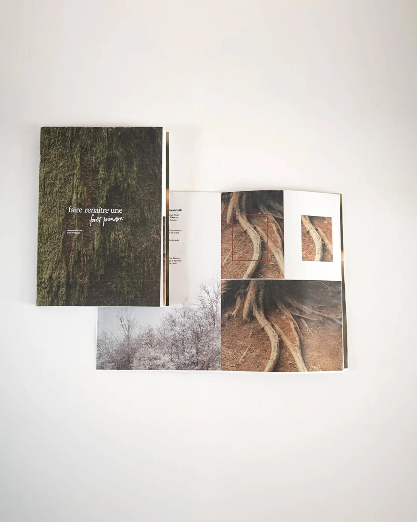 UNE FOR&Ecirc;T PRIMAIRE : Le fanzine de poche

C&rsquo;est un projet qui me tient profond&eacute;ment &agrave; c&oelig;ur.
Parce qu&rsquo;aujourd&rsquo;hui, parler de la for&ecirc;t, c&rsquo;est d&eacute;j&agrave; r&eacute;sister.

Dans le sillage d