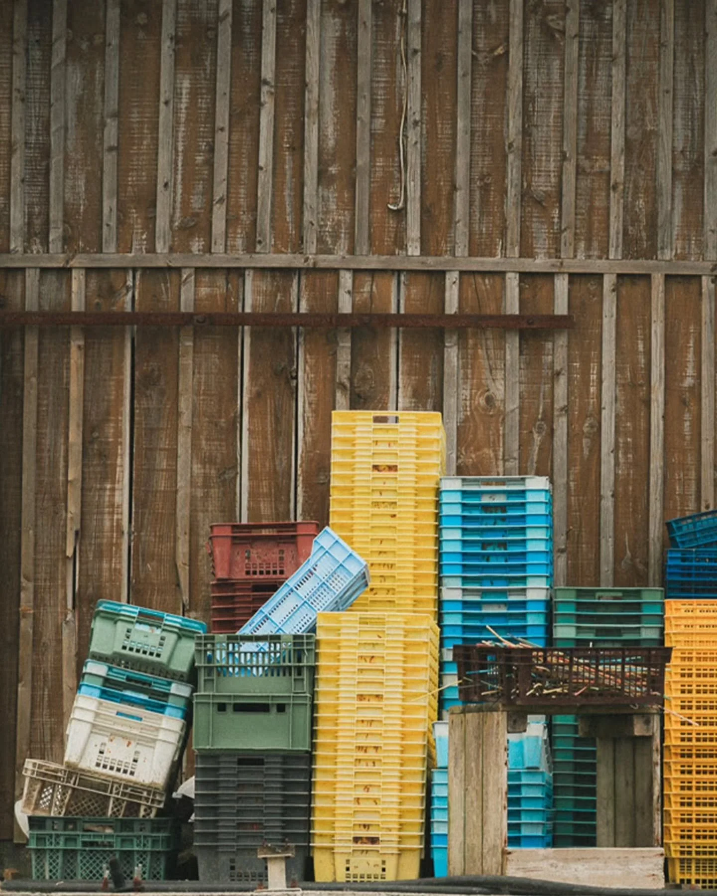 CAP FERRET &bull;
Dans la discorde des vagues, je me suis arr&ecirc;t&eacute; un instant, me laissant submerger par l&rsquo;eau sal&eacute;e. Lorsque je photographie, j&rsquo;aime &eacute;couter de la musique en m&ecirc;me temps, comme si chaque plan