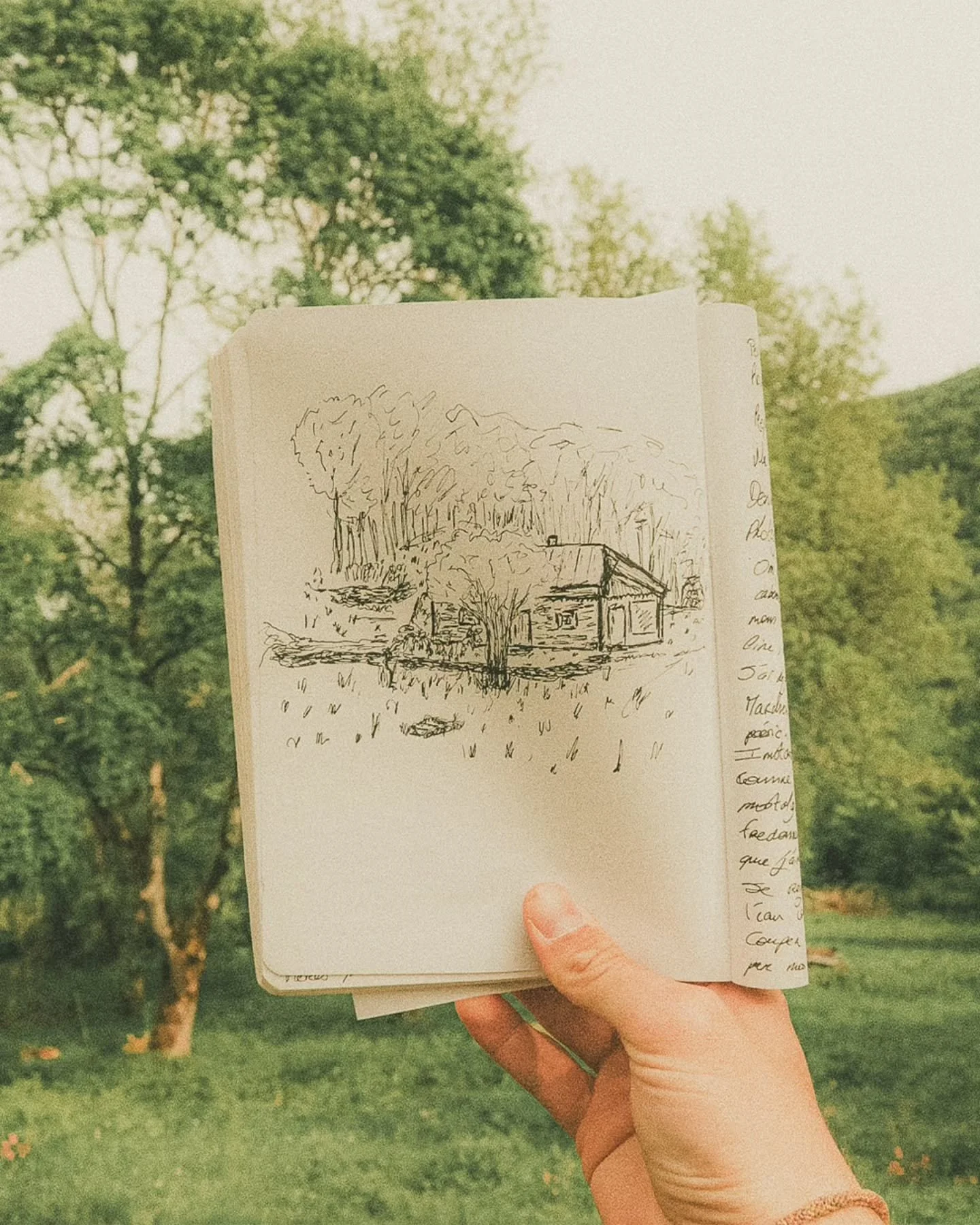 CABANON &bull;
Souvenirs au Cabanon 
Une m&eacute;saventure en pleine [Auvergne]