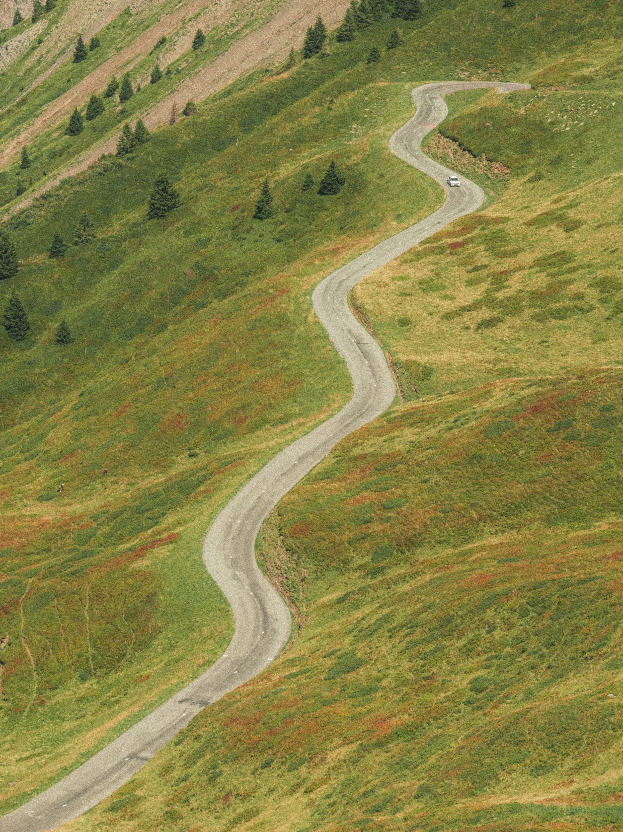 Une route sinueuse qui traverse un paysage de collines verdoyantes avec quelques arbres