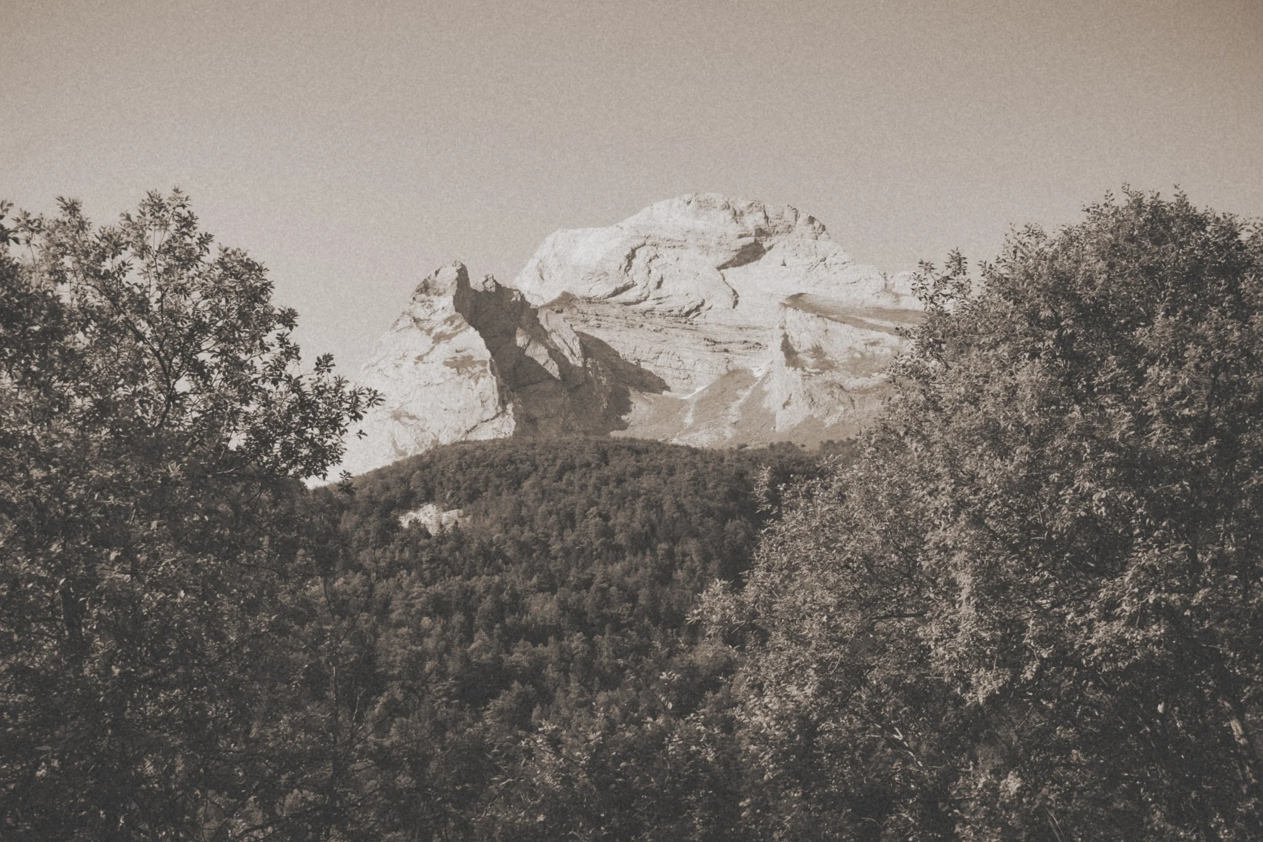 _MG40458.jpg
