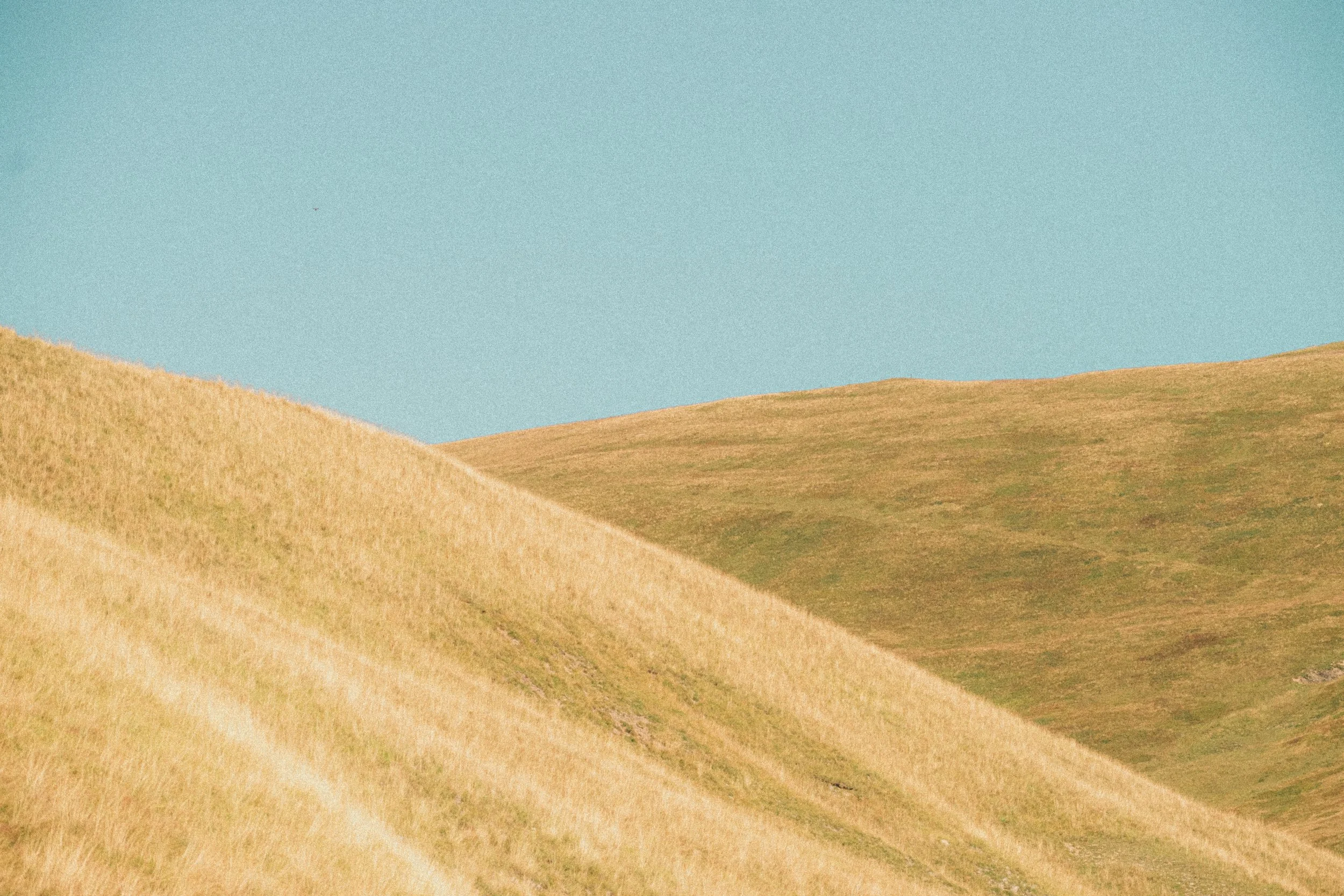 Collines dorées en pente sous un ciel bleu clair.