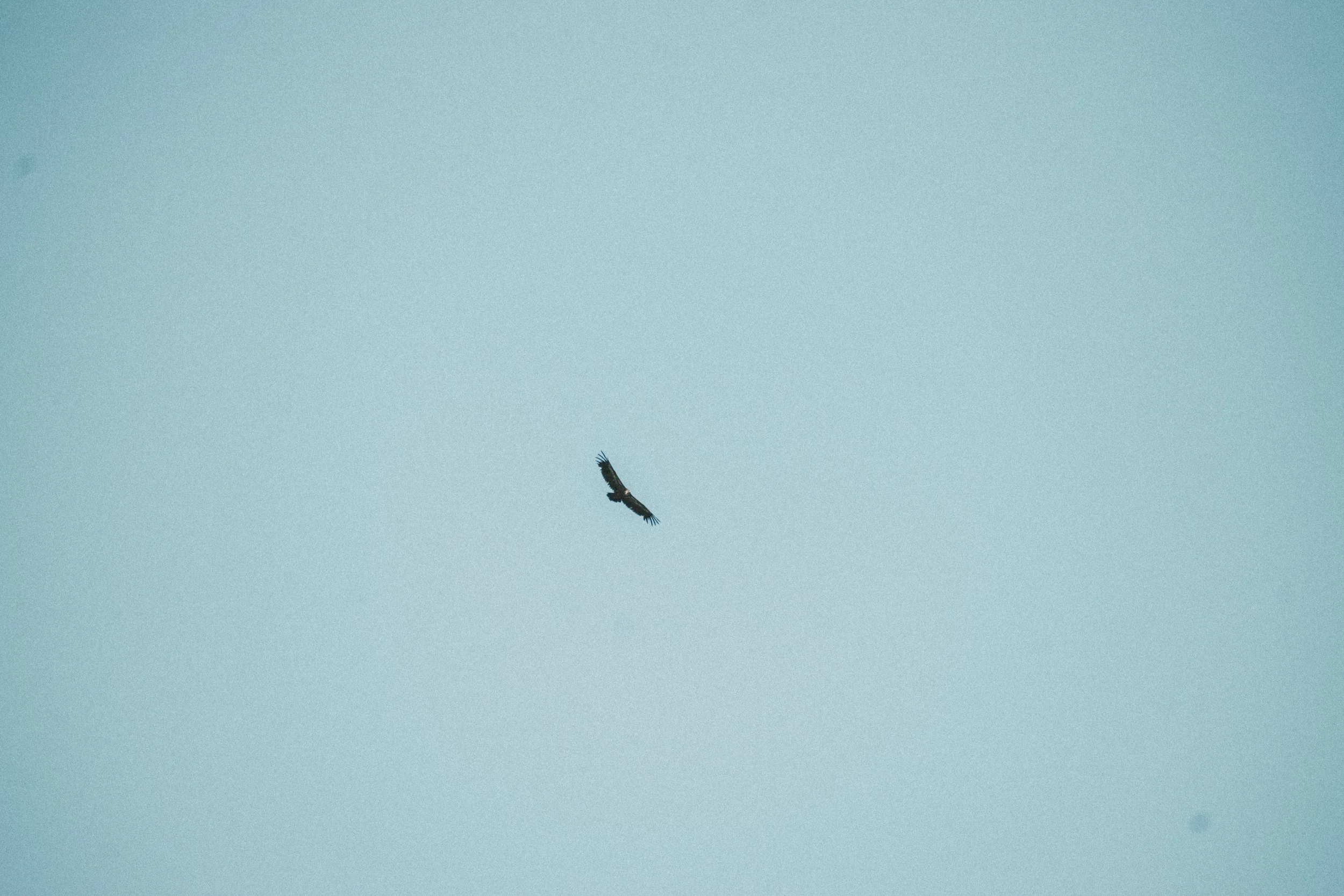 _MG40405.jpg