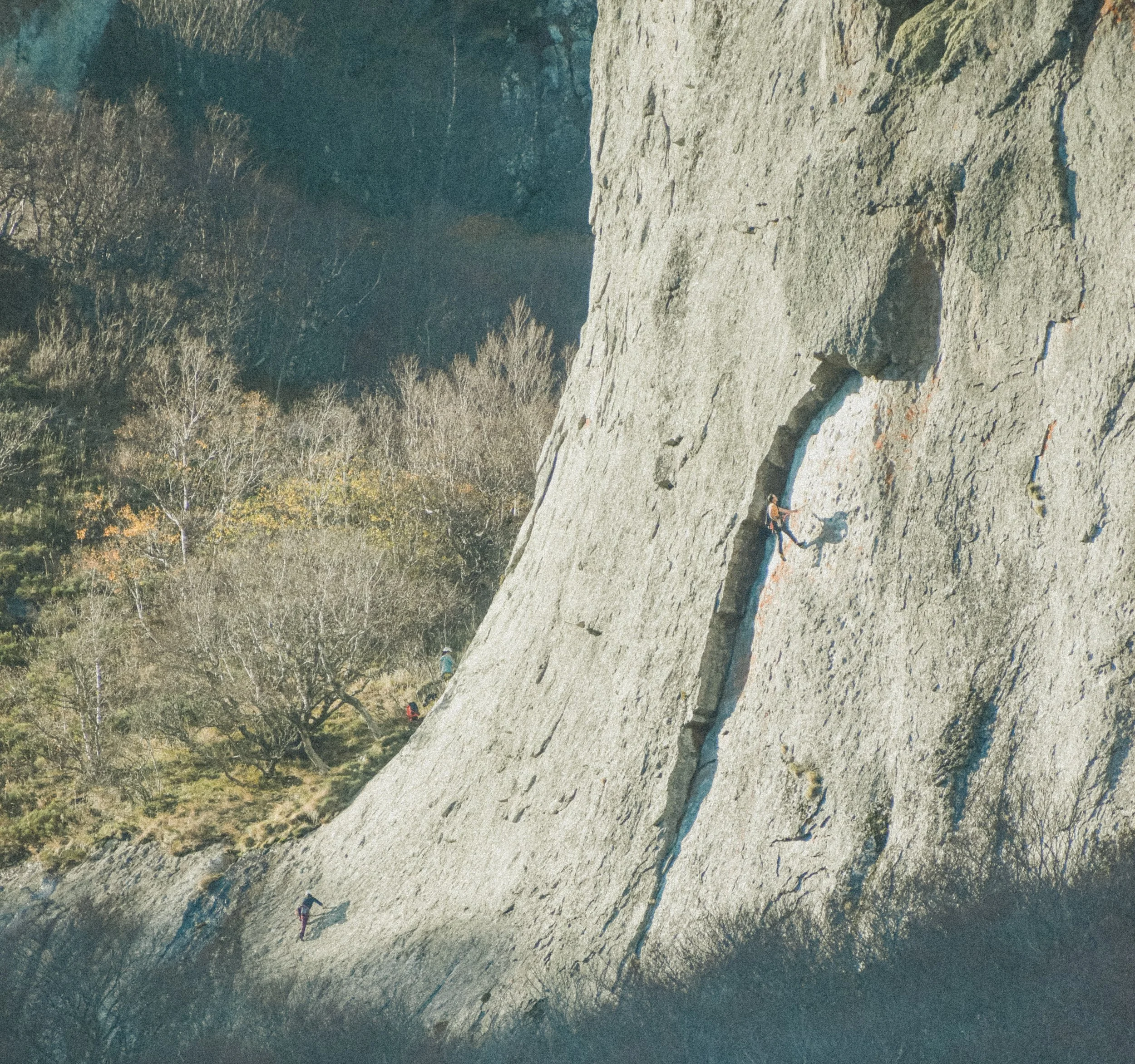 Un grimpeur suspendu à une falaise rocheuse en pleine nature, avec plusieurs autres grimpeurs en bas, dans une forêt dense.