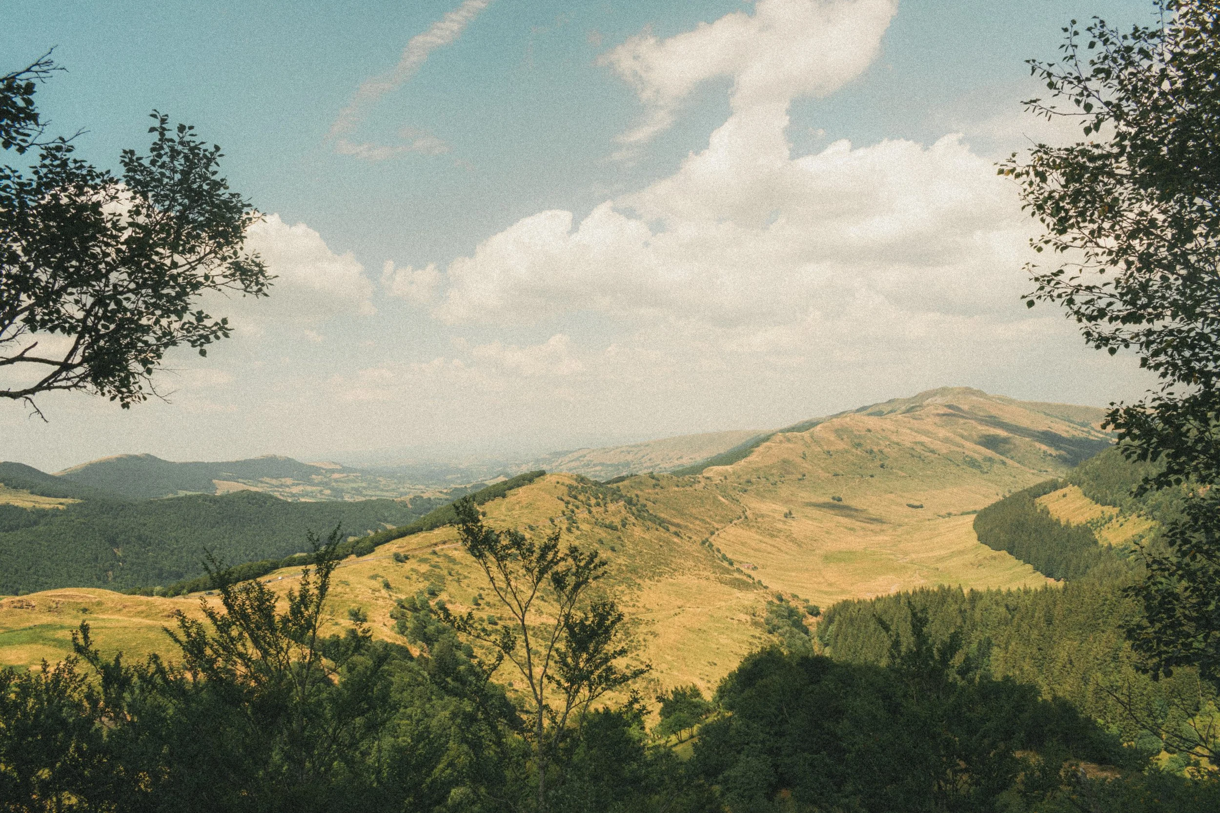 Paysage de collines verdoyantes sous un ciel partiellement nuageux, avec des arbres en premier plan.