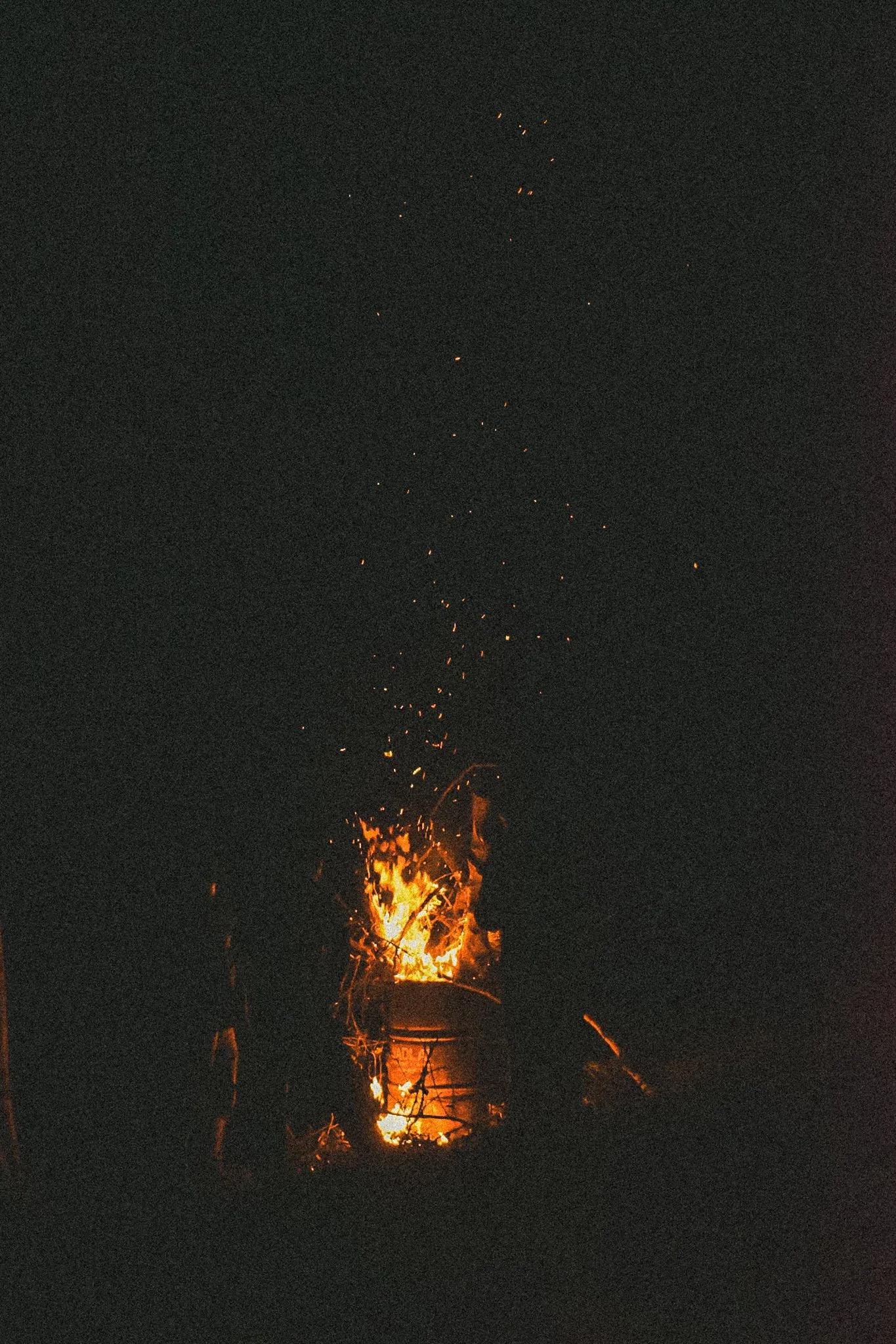 30032019-DSC_0075.jpg