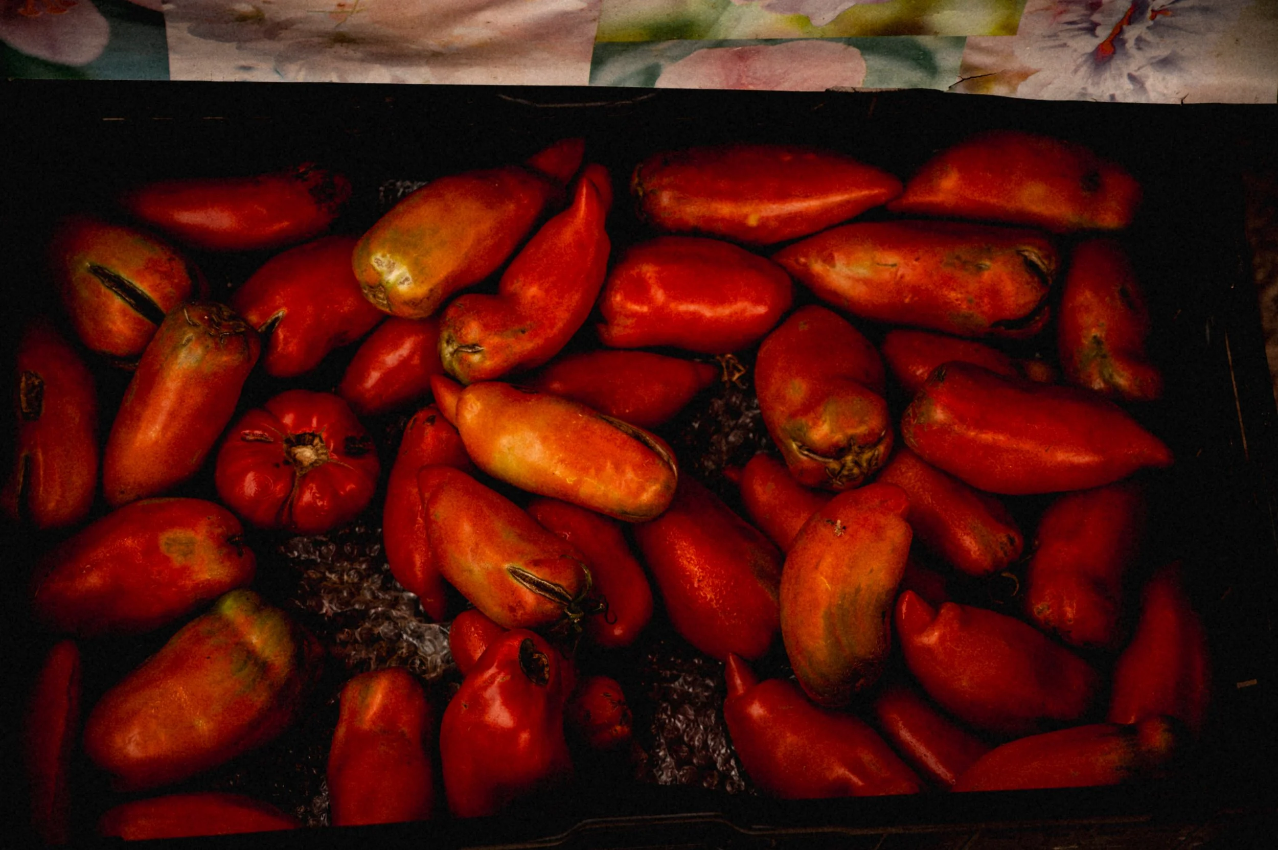 DSC_1440.jpg