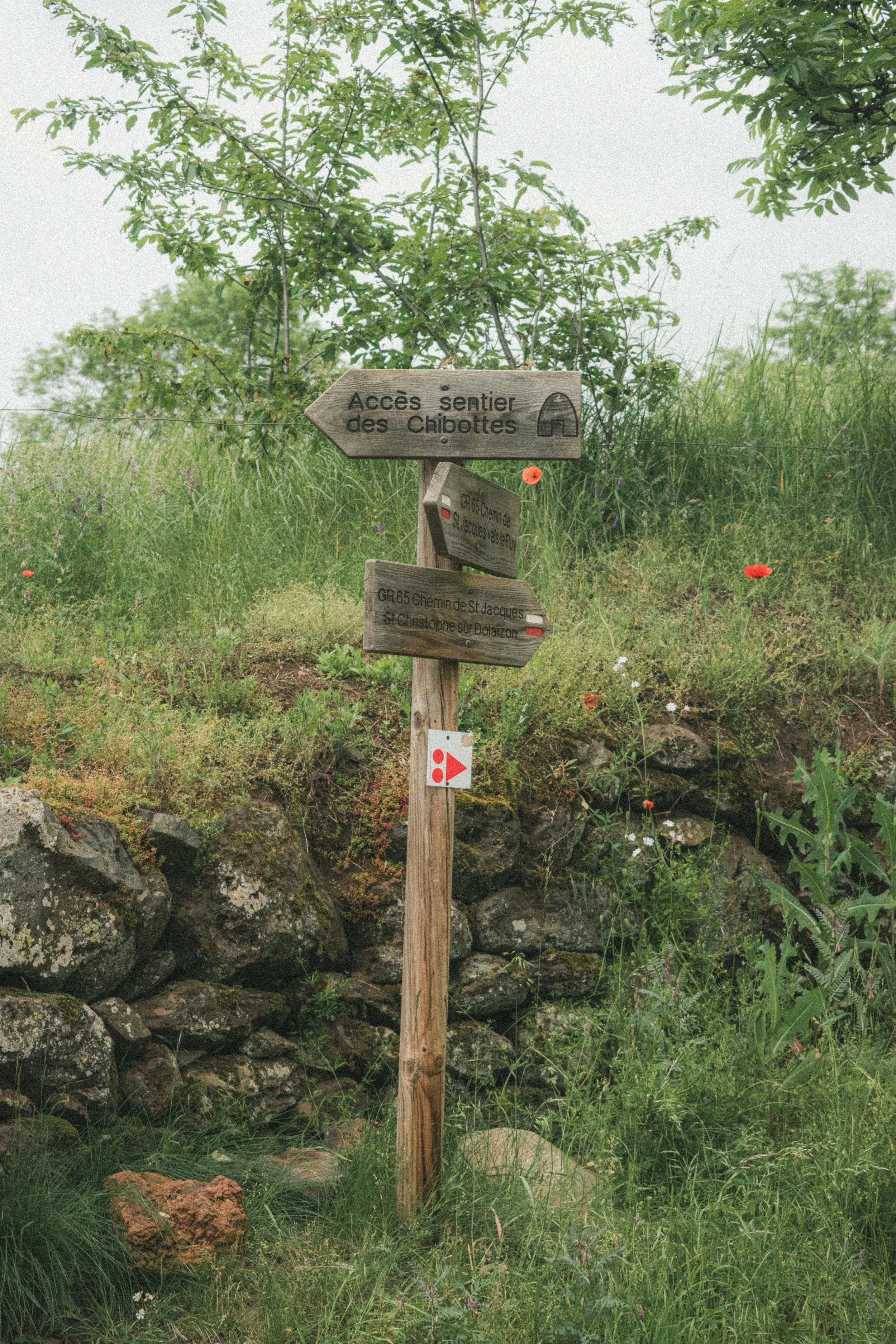 MG4_0714.jpg
