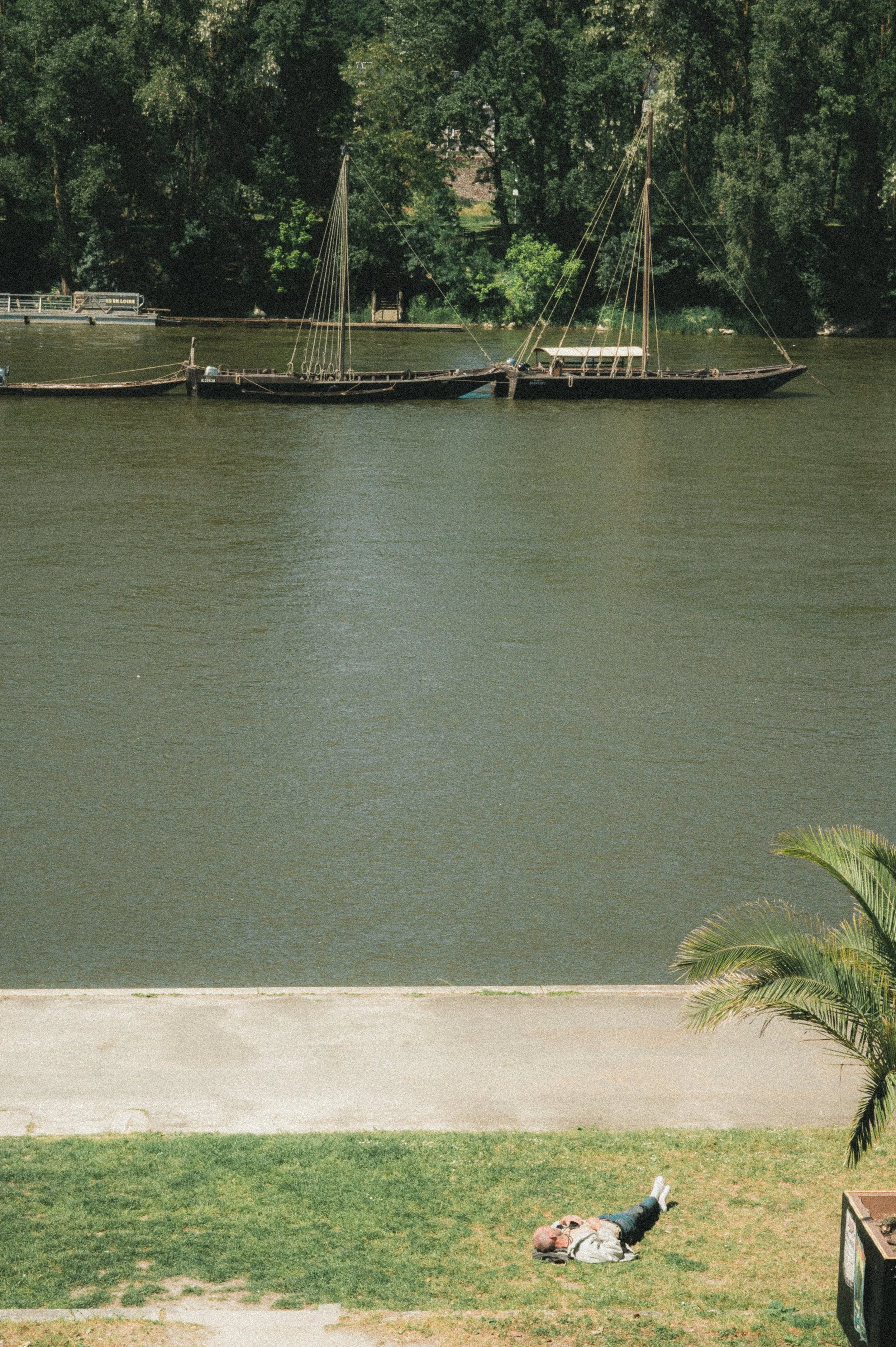 Une personne allongée sur l'herbe près d'un palmier, au bord d'une rivière, avec des bateaux amarrés au quai en arrière-plan et des arbres en fond.