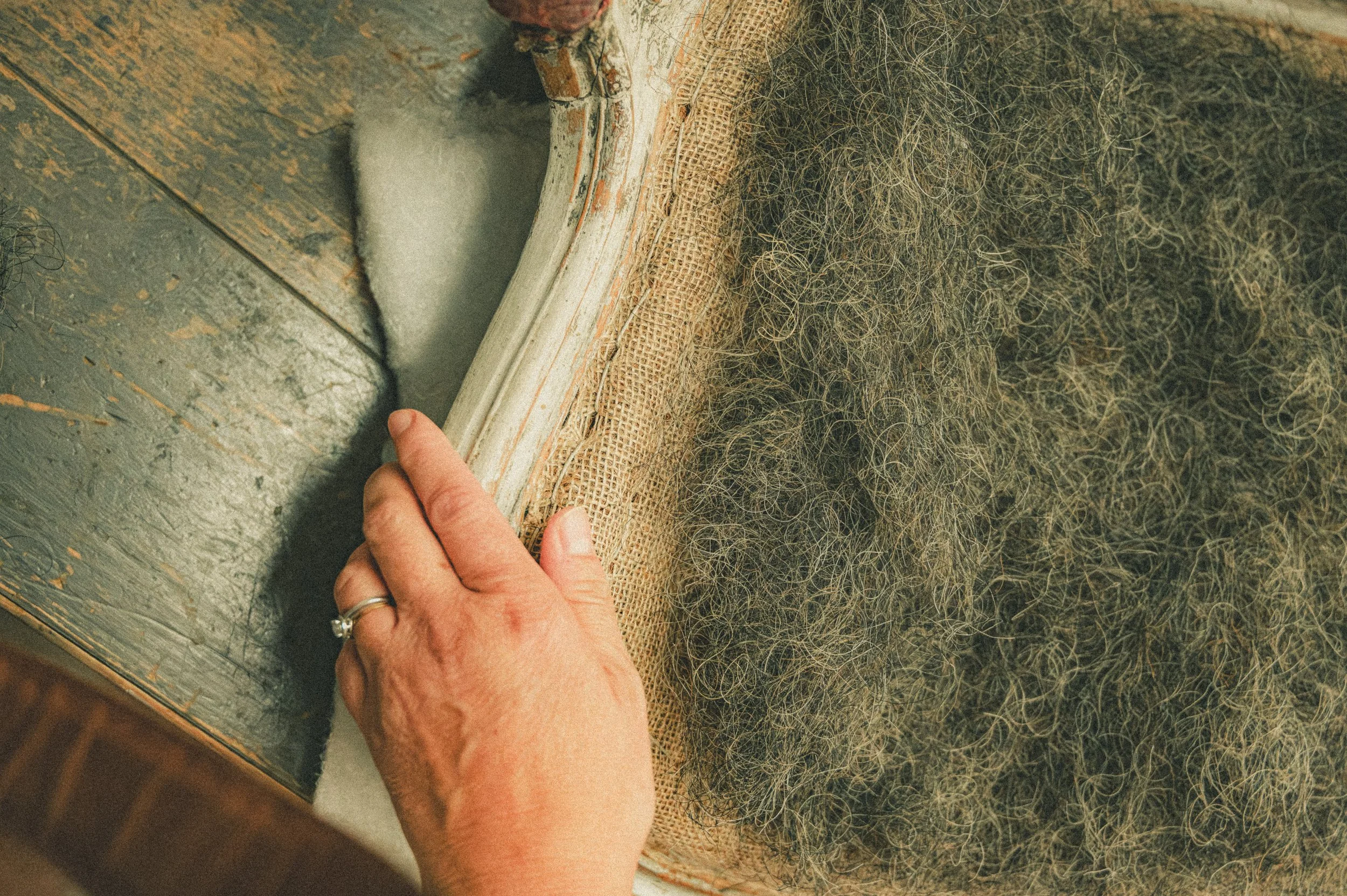 DSC_3270-Avec accentuation-Bruit.jpg