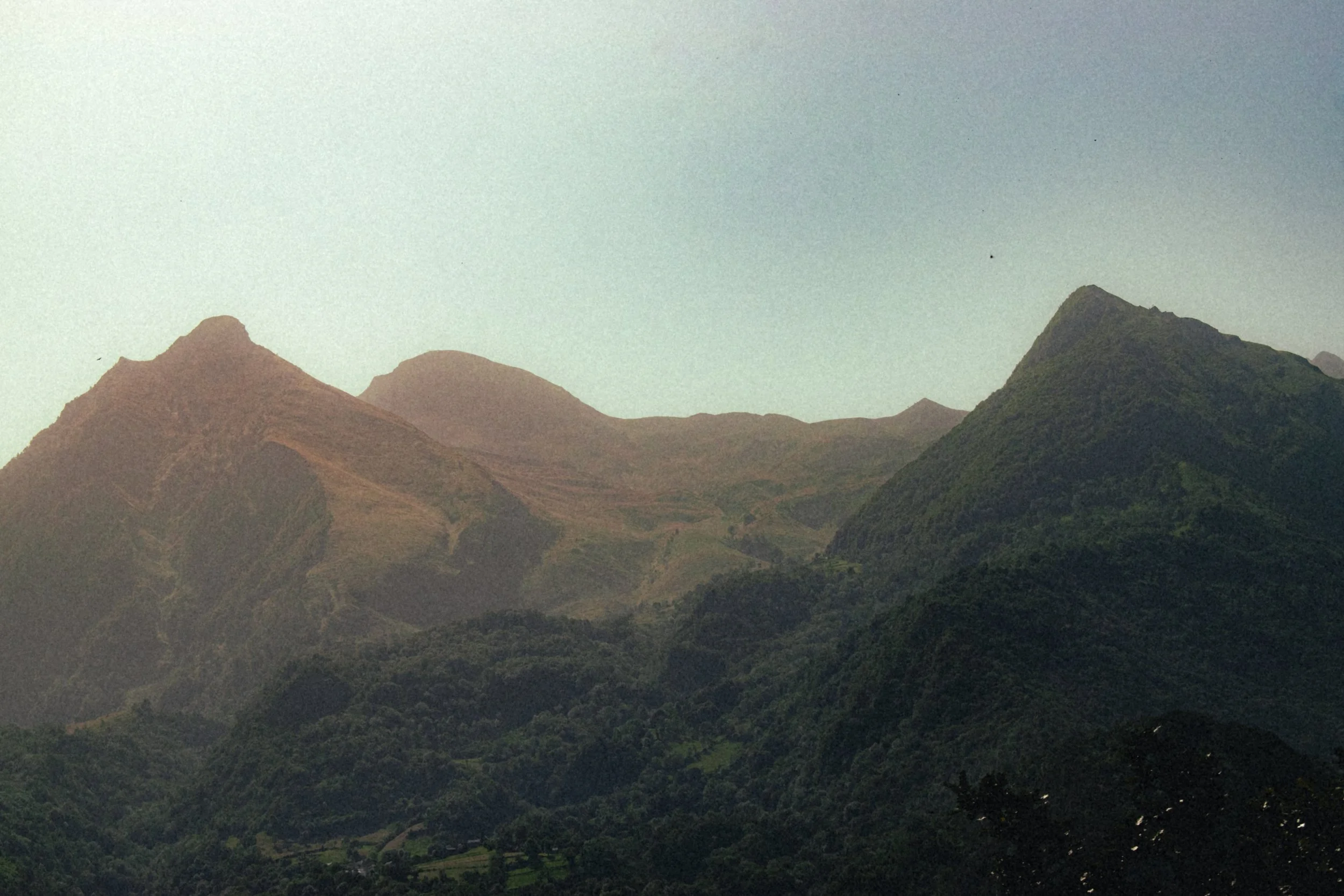 _MG40308.jpg