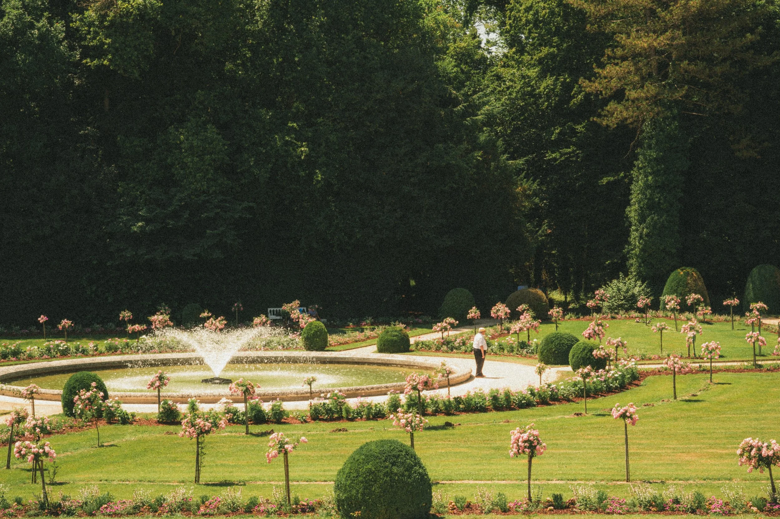 Jardin clair avec un bassin et une fontaine, entouré de buissons ornementaux et de fleurs roses, avec deux personnes se promenant.