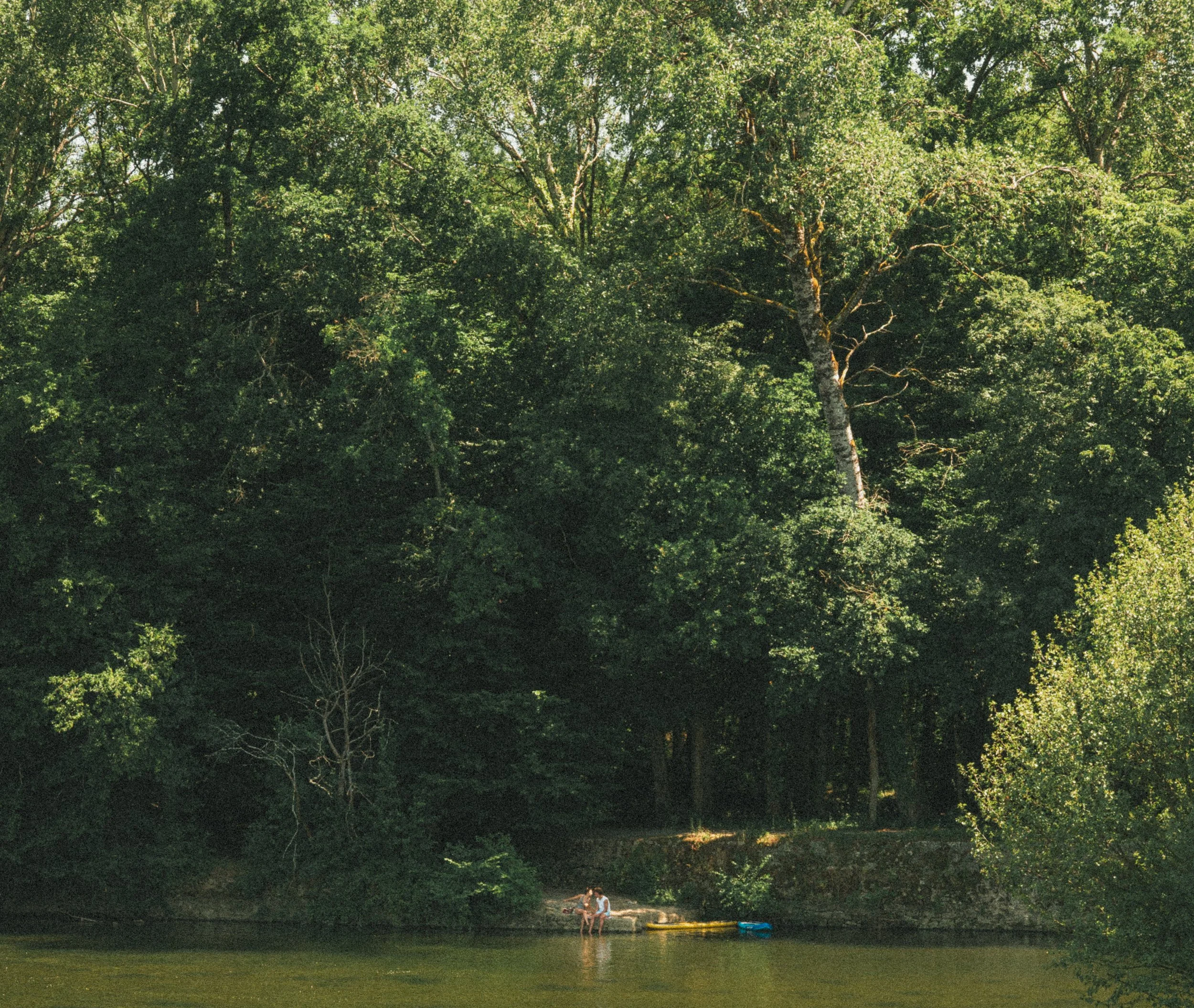 Un groupe de deux personnes debout à la rive d'une rivière entourée d'une forêt dense avec de grands arbres verts.