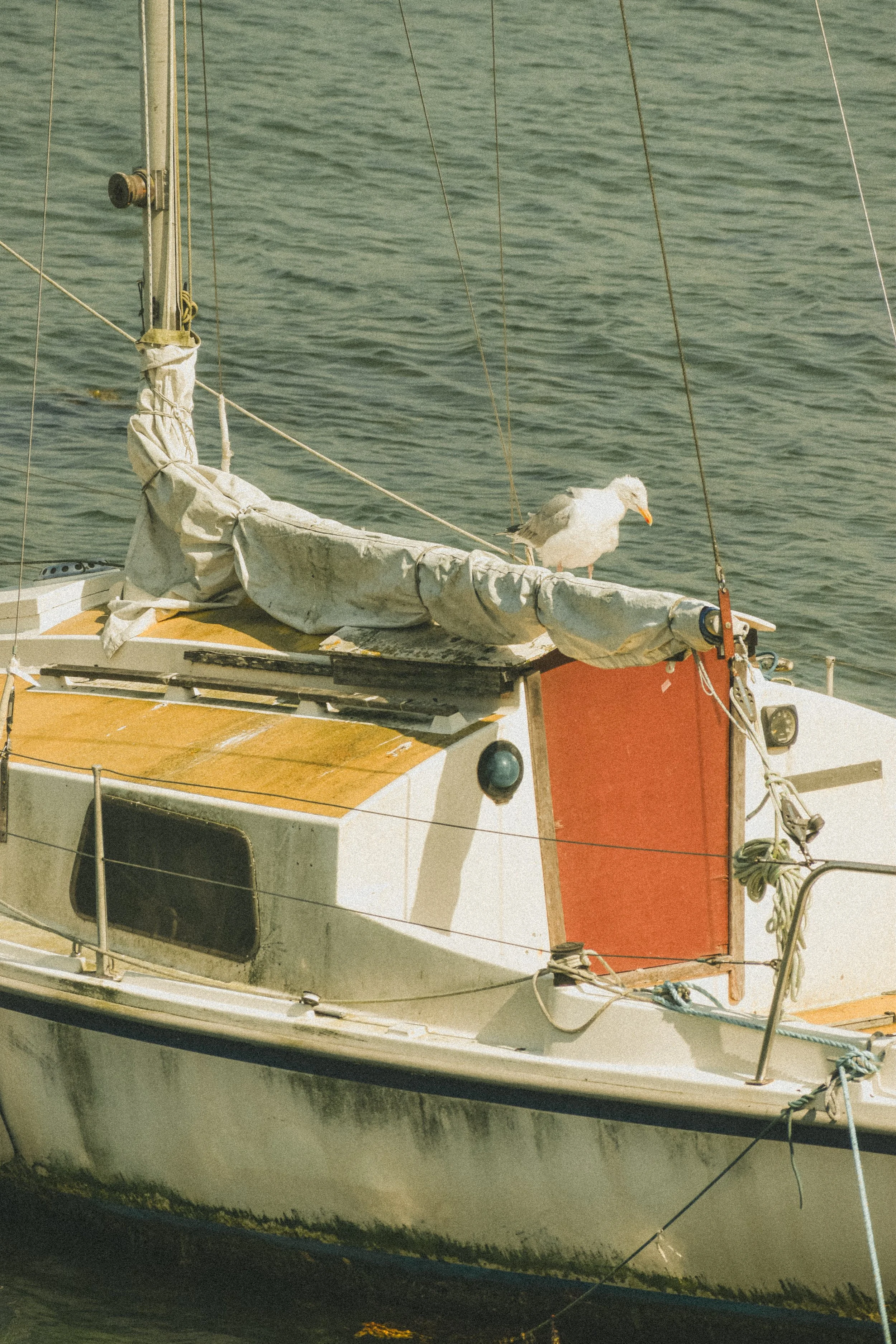 DSC_0979.jpg
