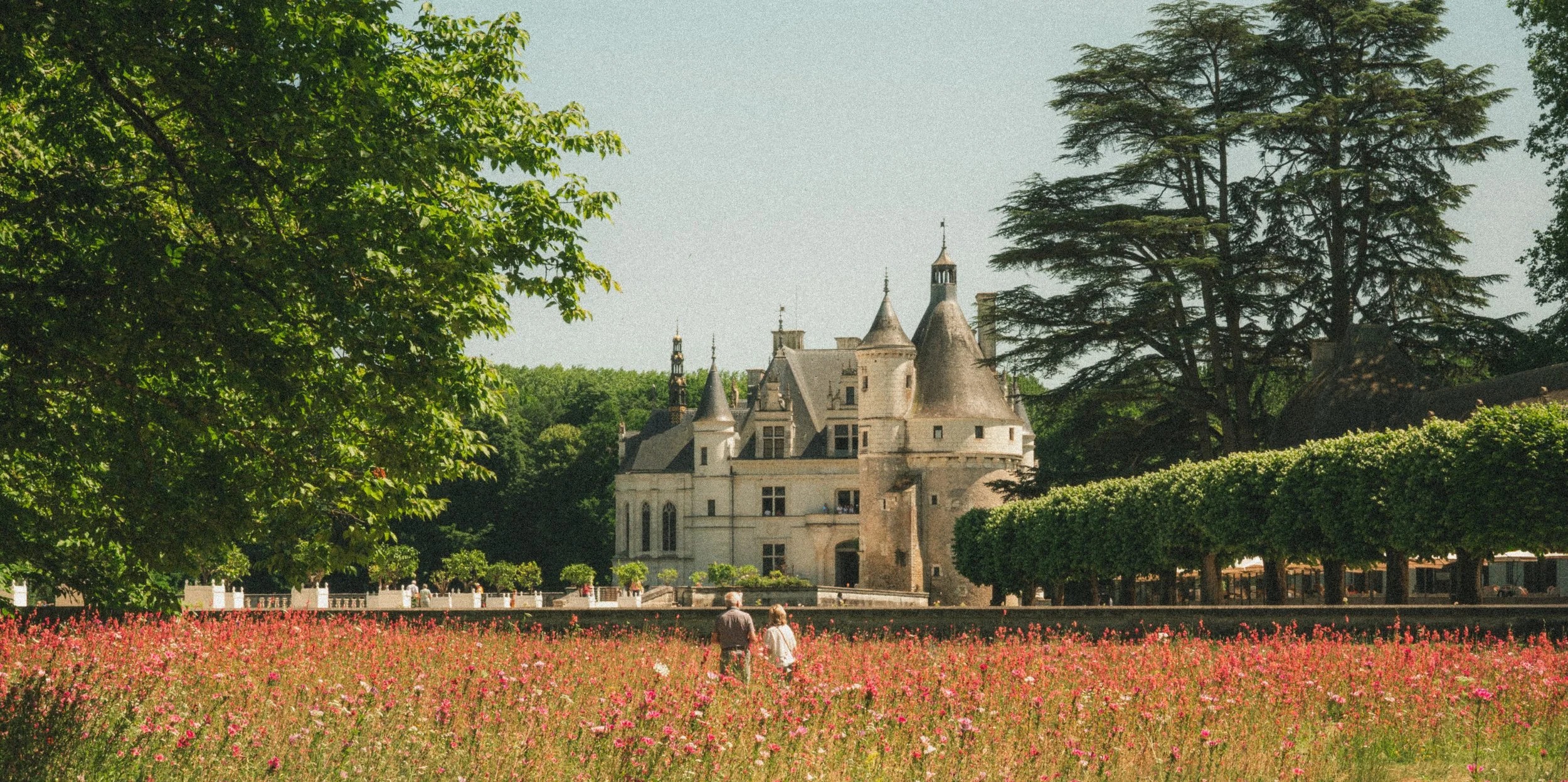 Un château médiéval blanc entouré d'arbres verts, situé derrière un champ de fleurs roses et deux personnes marchant dans le jardin.