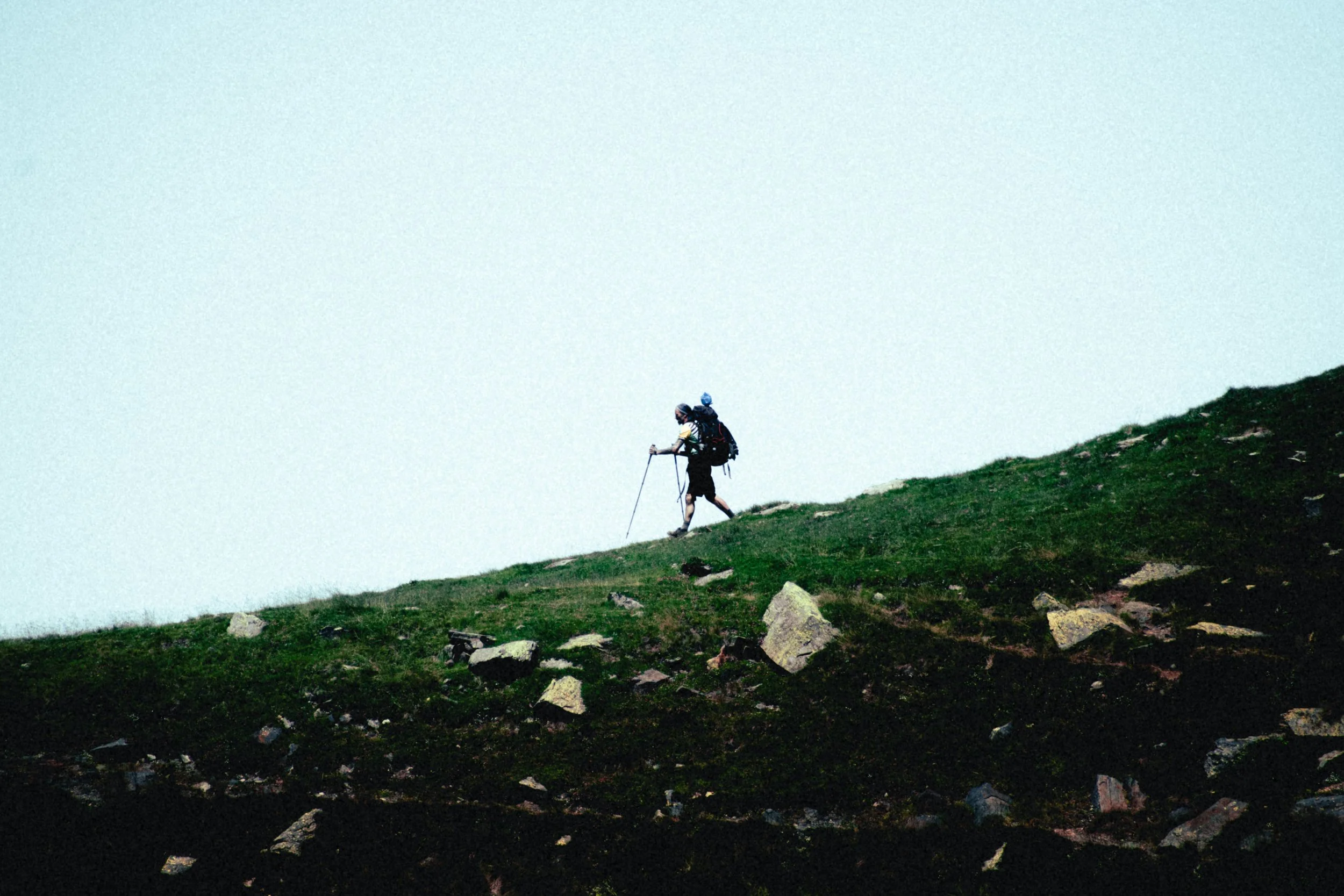 _MG40319.jpg