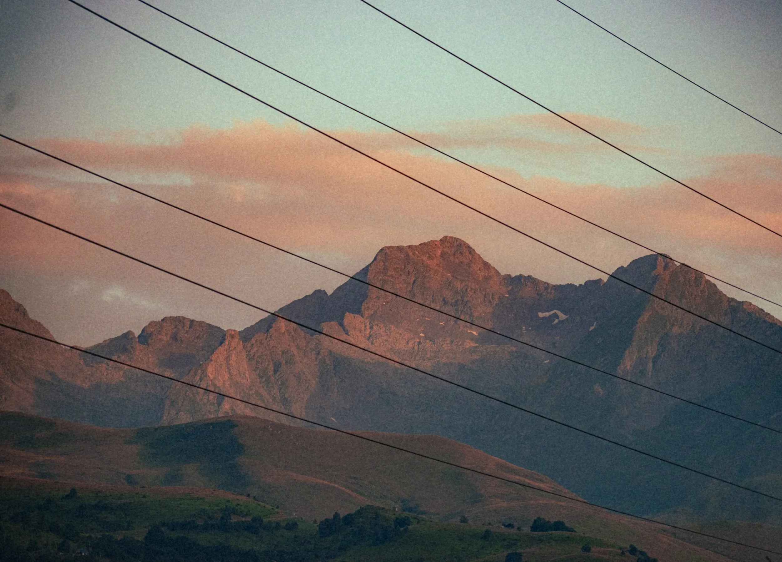 _MG40374.jpg