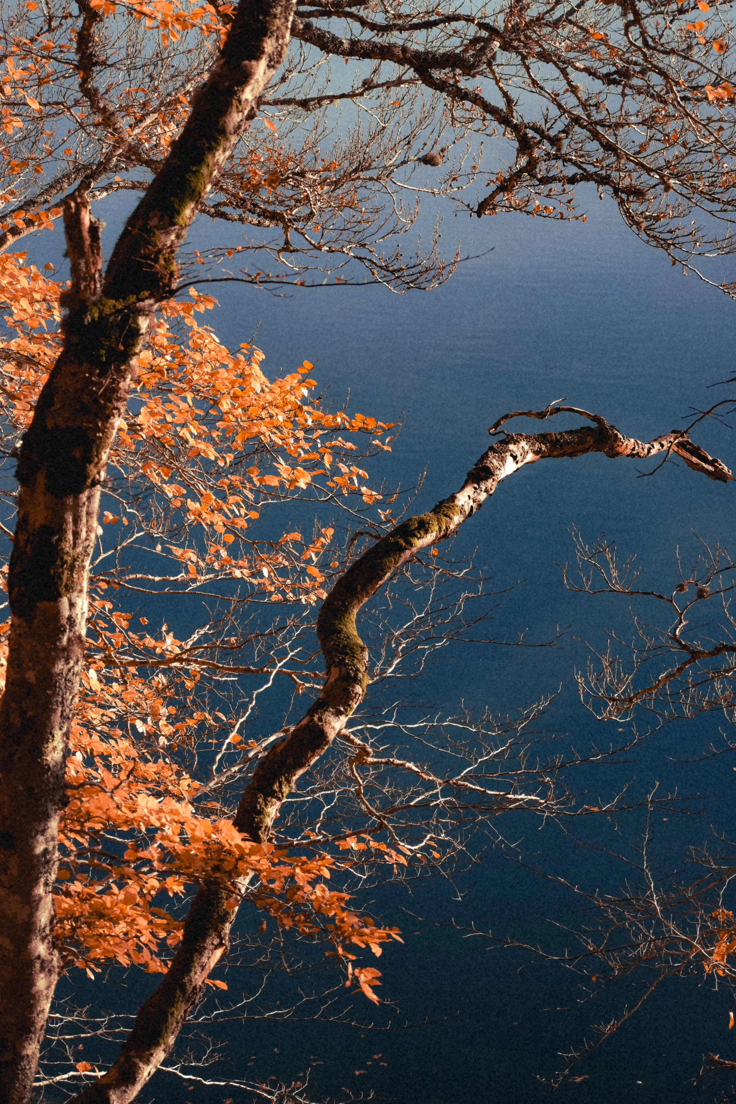DSC_0296.jpg