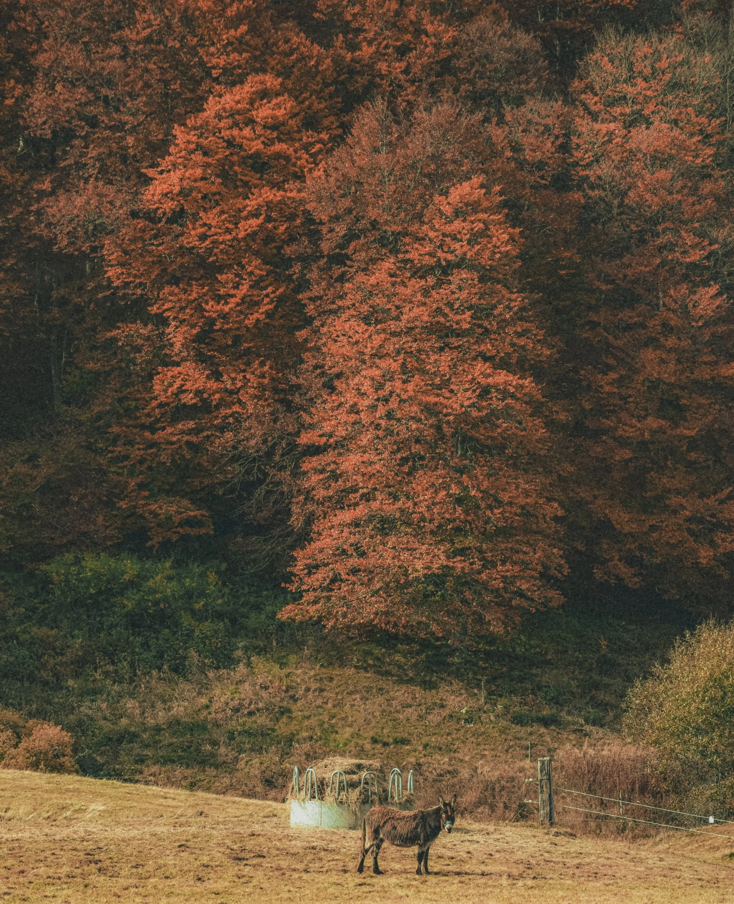 DSC_0143.jpg