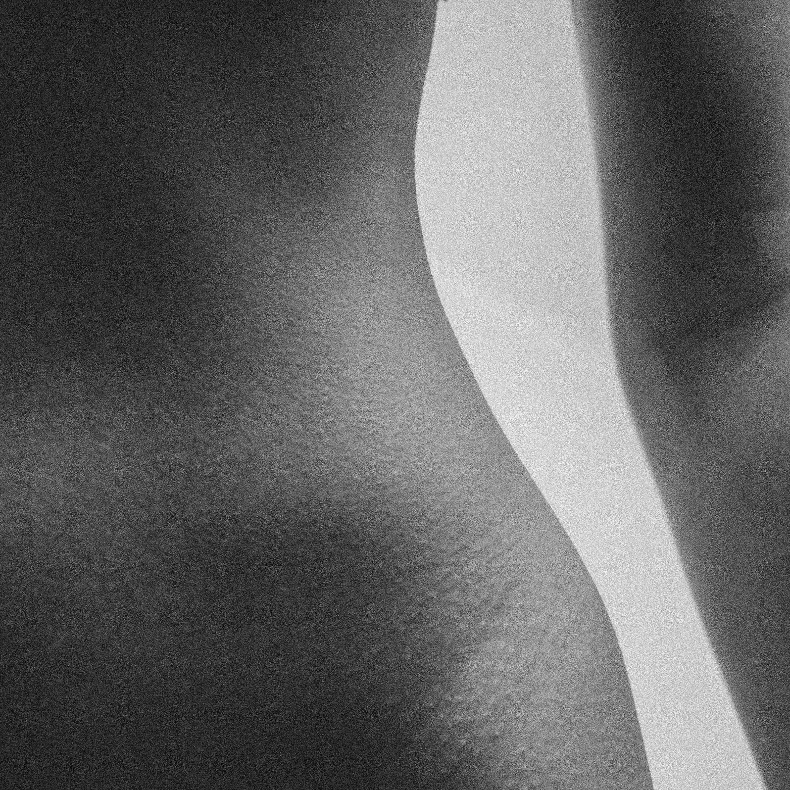 Une image en noir et blanc représentant des formes abstraites et courbes, avec une texture granuleuse.