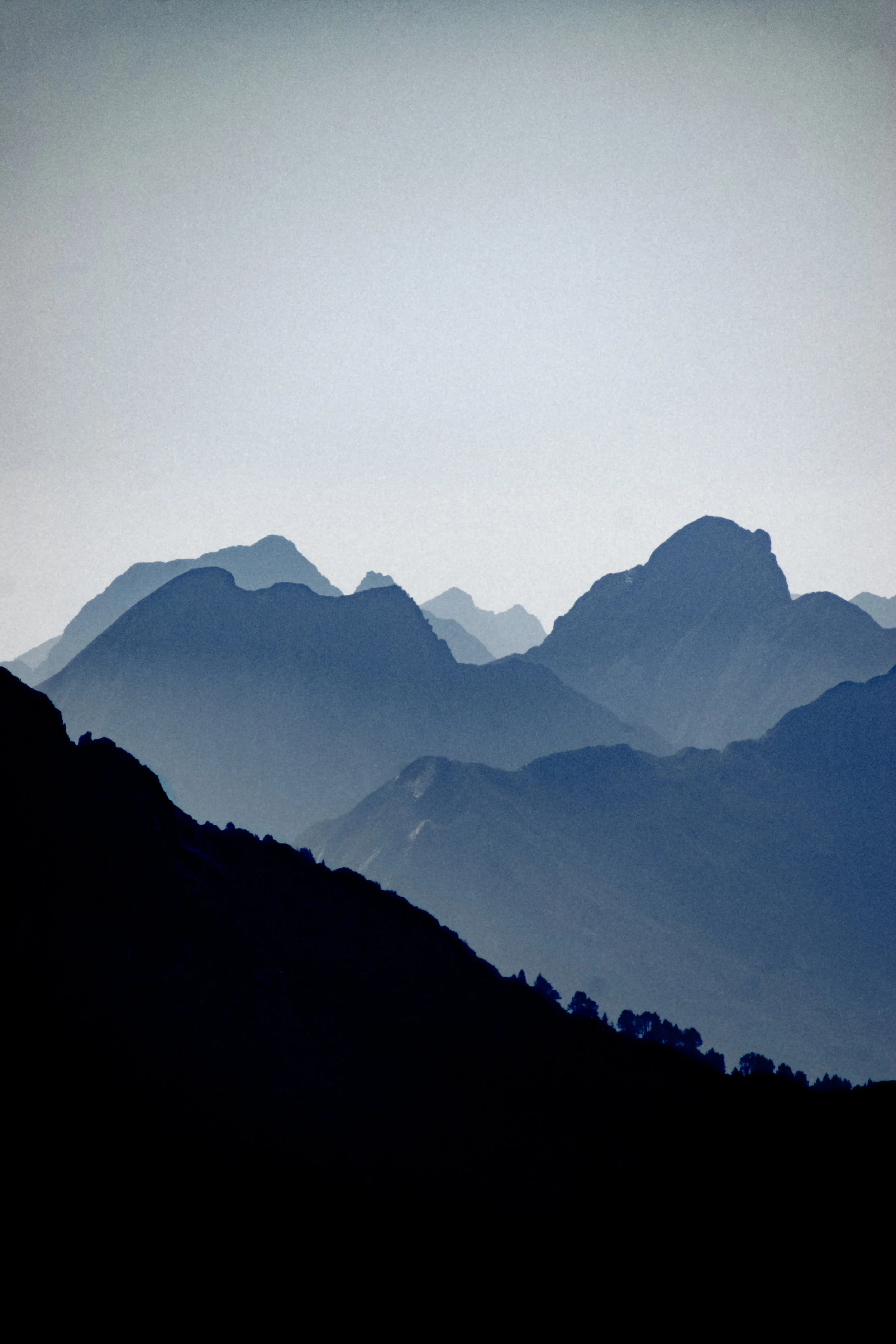 _MG40523.jpg