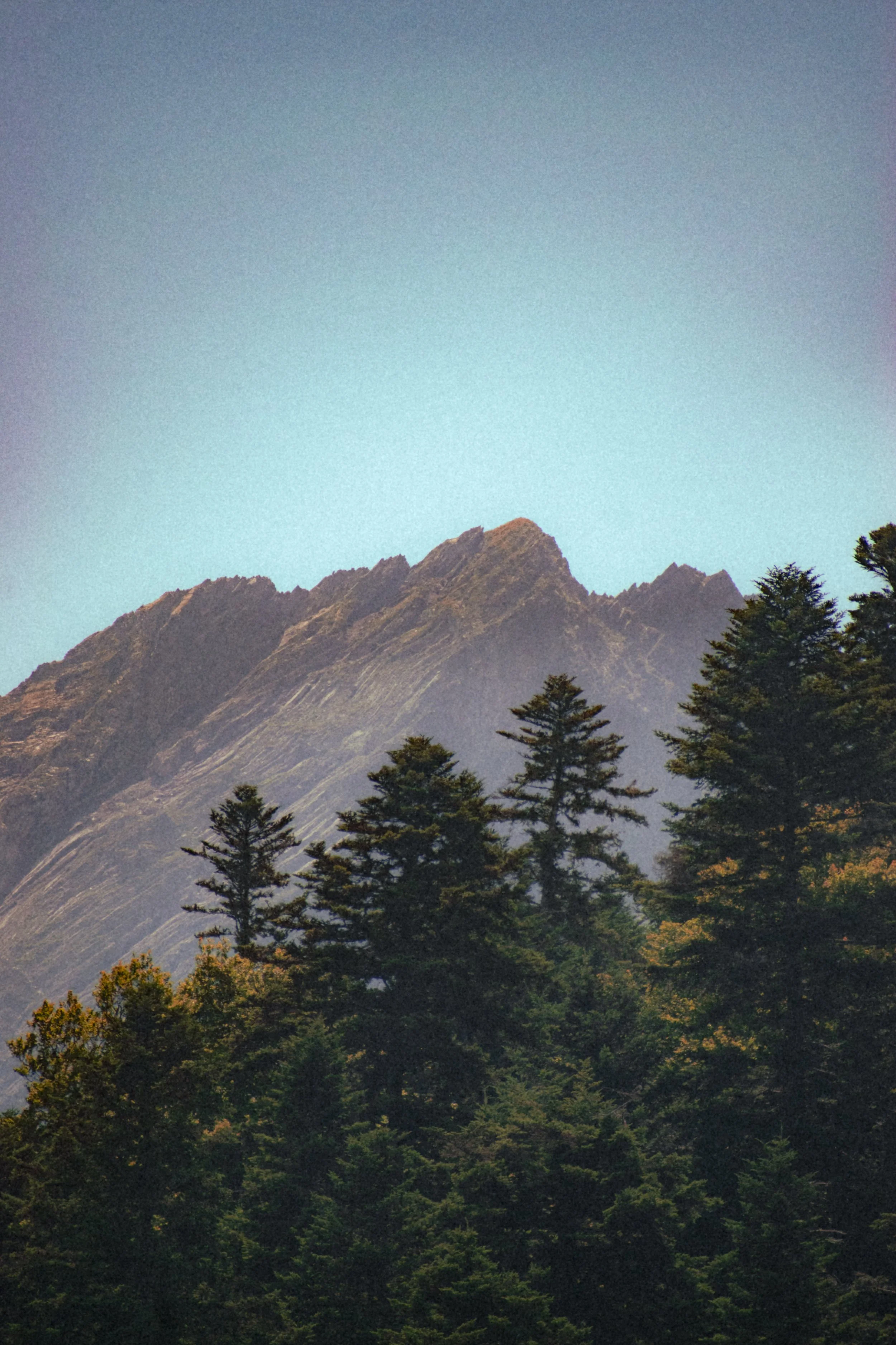 _MG40158.jpg