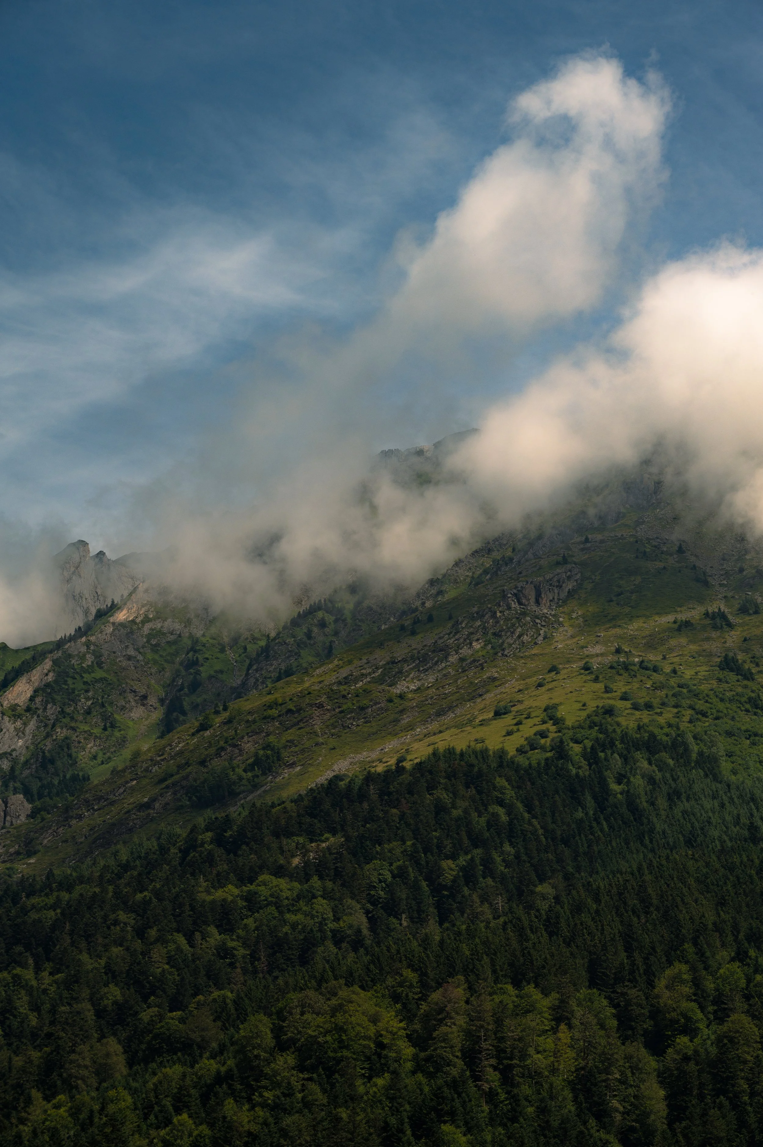 DSC_0729.jpg