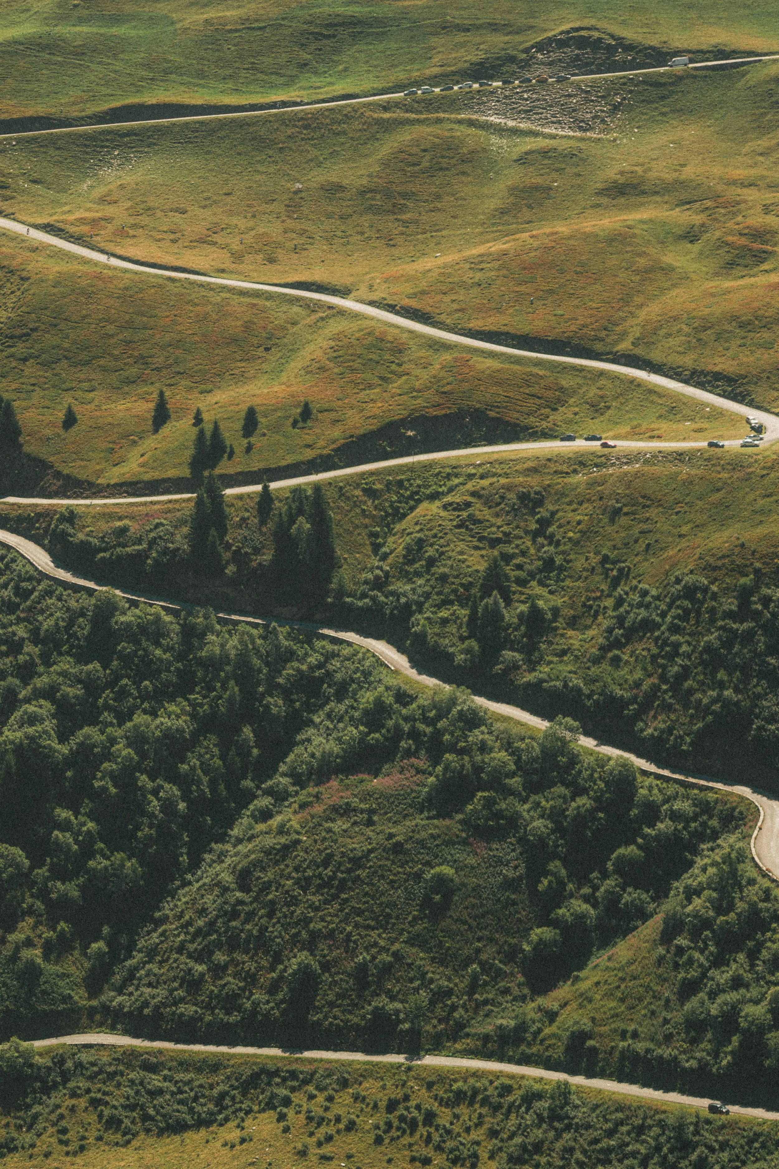 Paysage montagneux avec des routes sinueuses, des arbres et de la végétation.