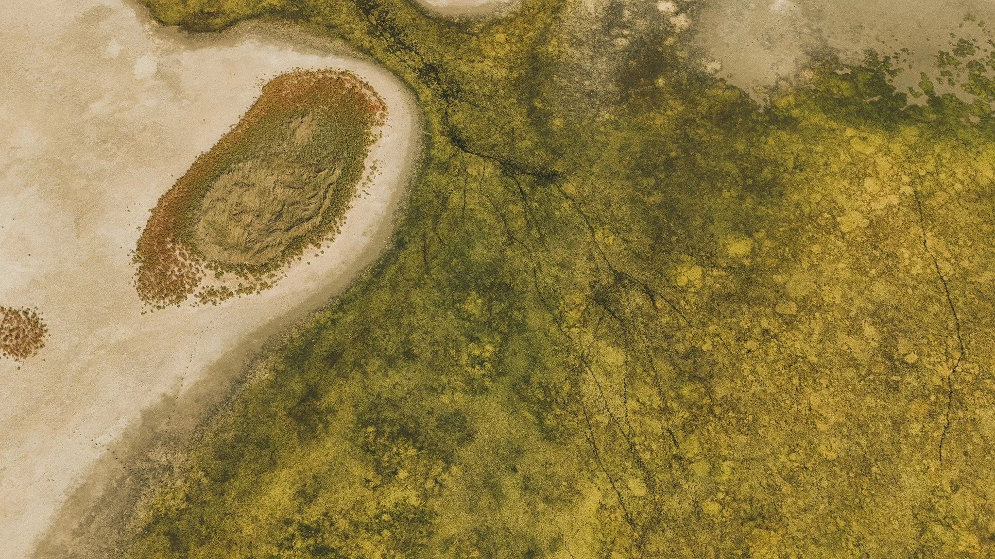 23092026-DJI_20260923161212_0037_D.jpg