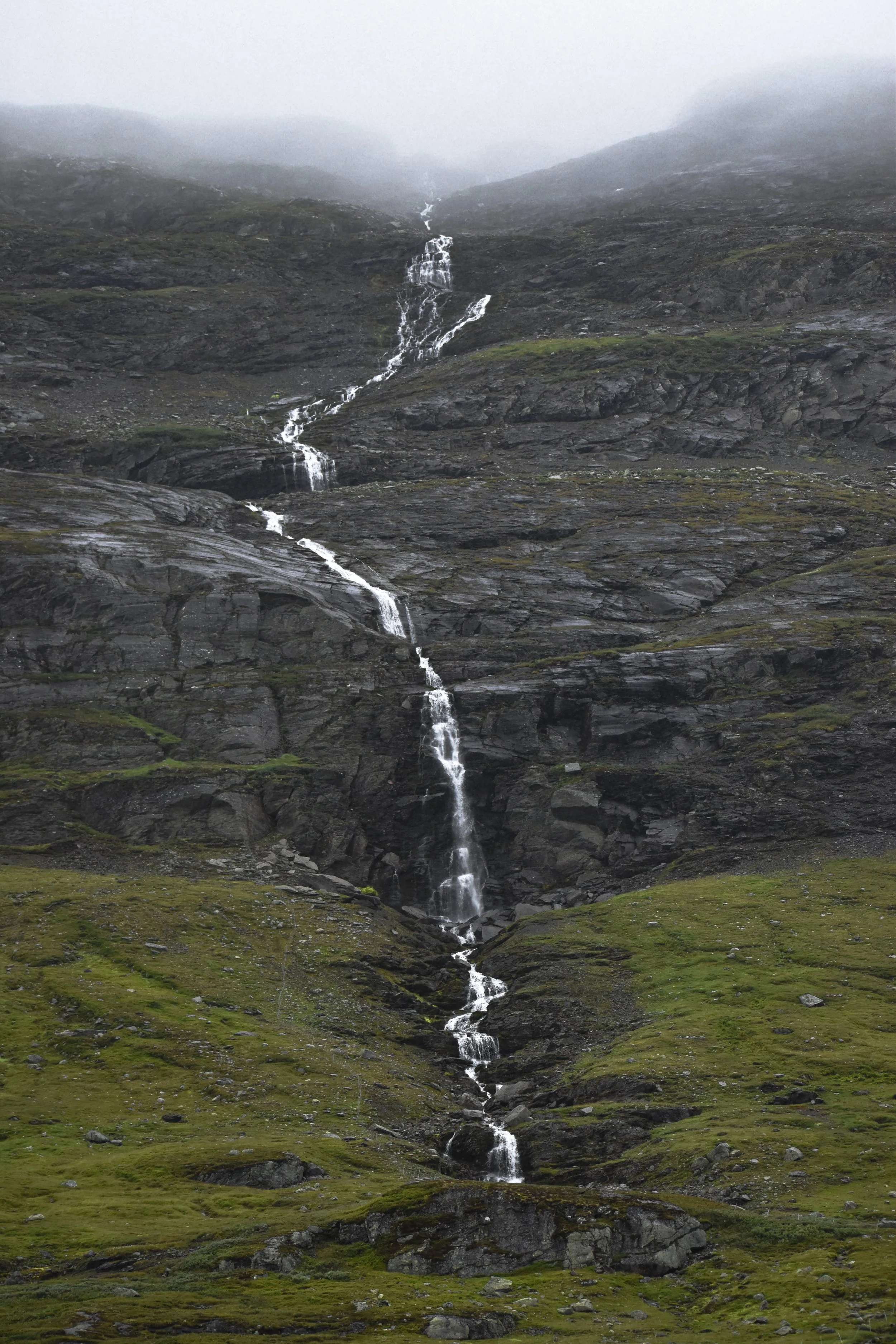 DSC_0973.jpg