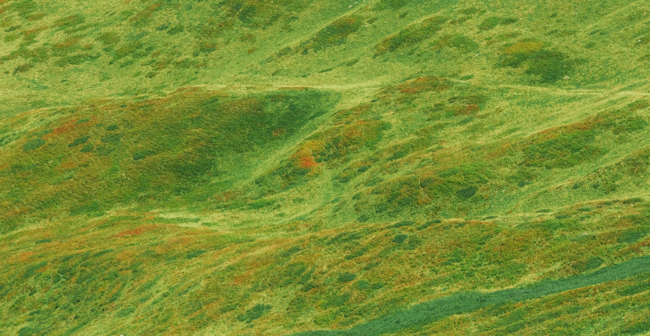 Vue aérienne de collines verdoyantes avec des herbes et des arbustes, paysage naturel sans constructions visibles.