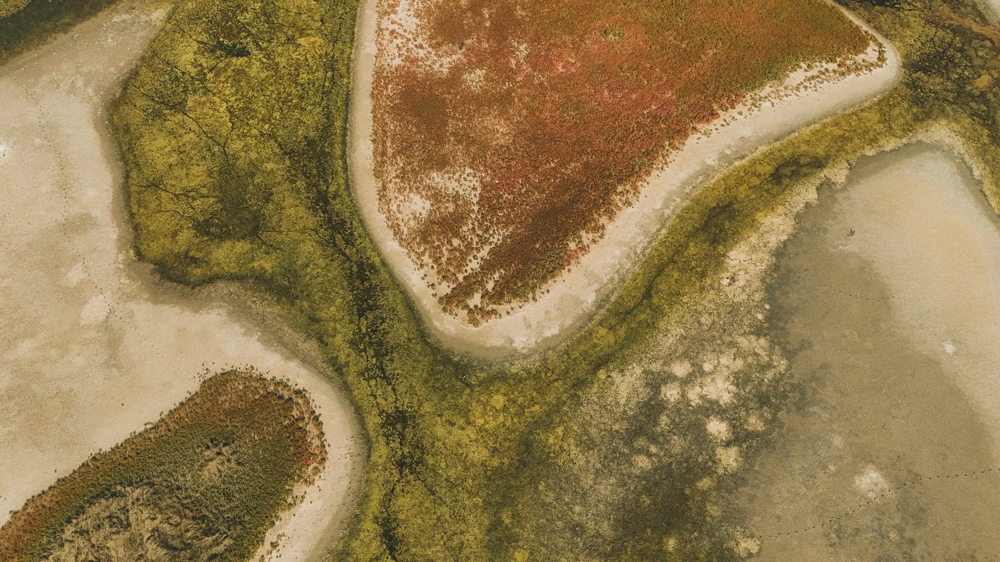23092026-DJI_20260923161224_0039_D.jpg