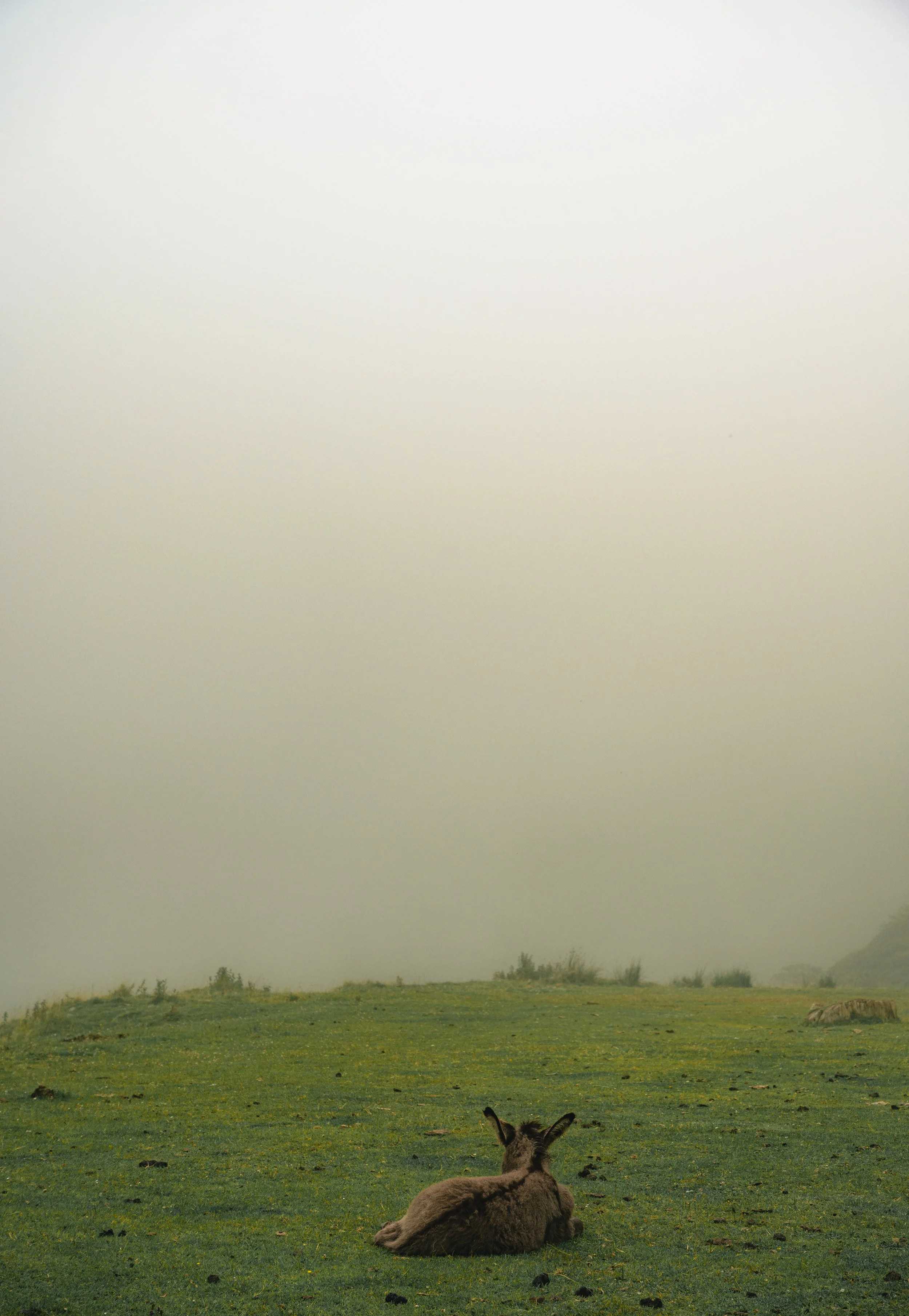 DSC_0701.jpg