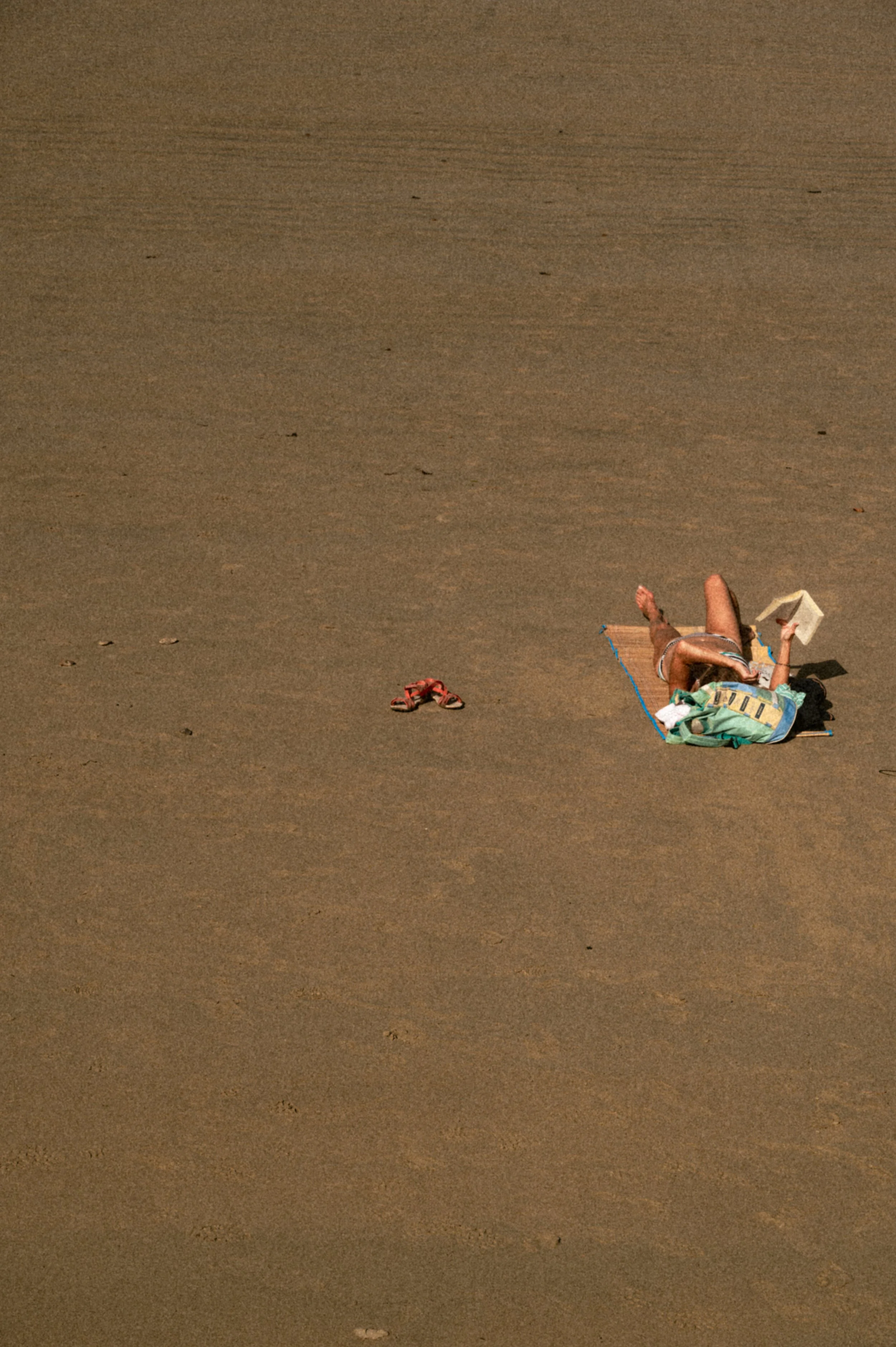 DSC_2643.jpg