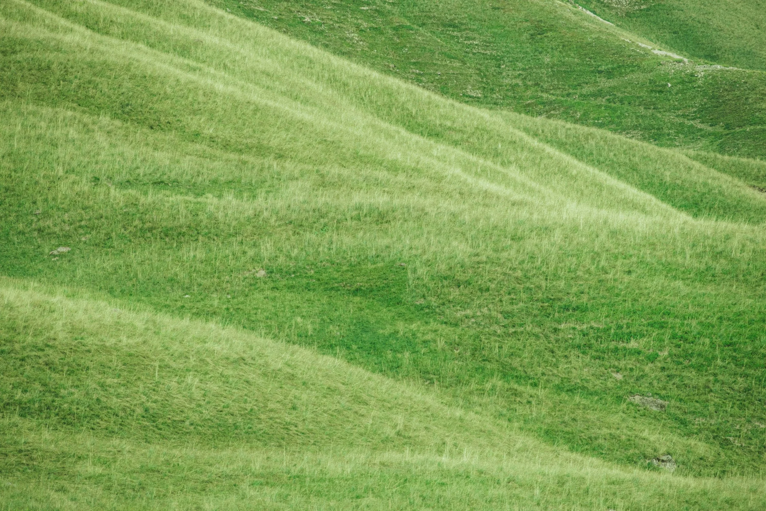 Pâturages verdoyants avec des collines en pente douce.