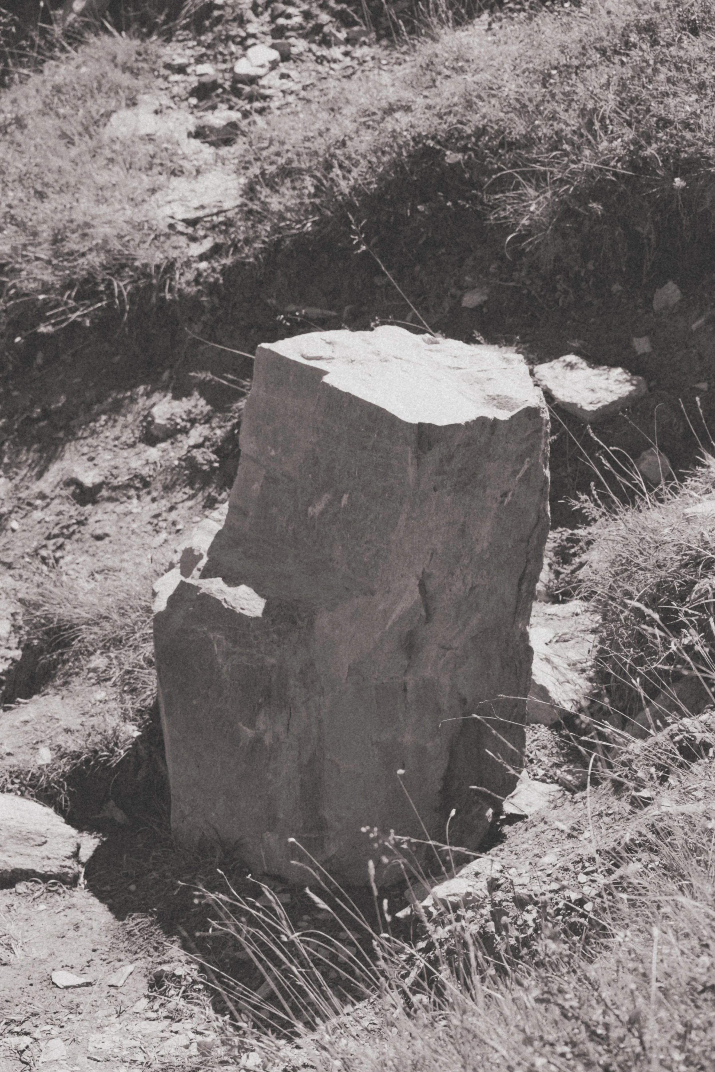 MG4_0224.jpg