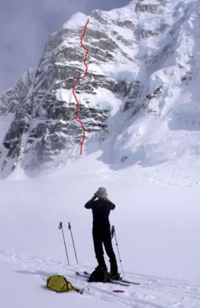 Screen Shot 2024-02-11 at 12.44.56 PM.png